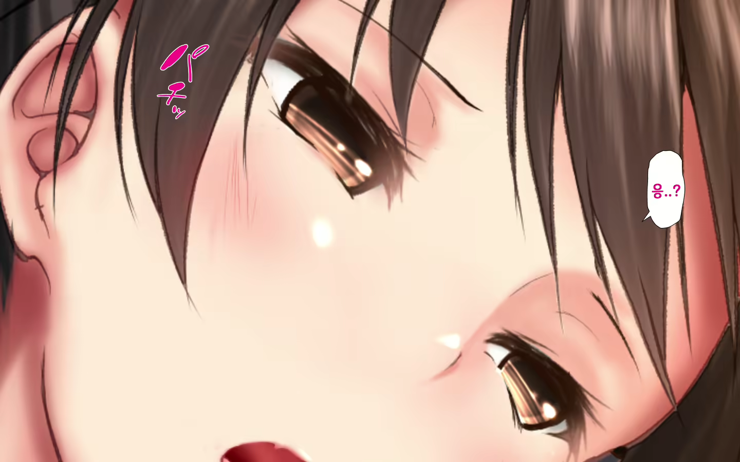 Content 2072958 - 335 페이지