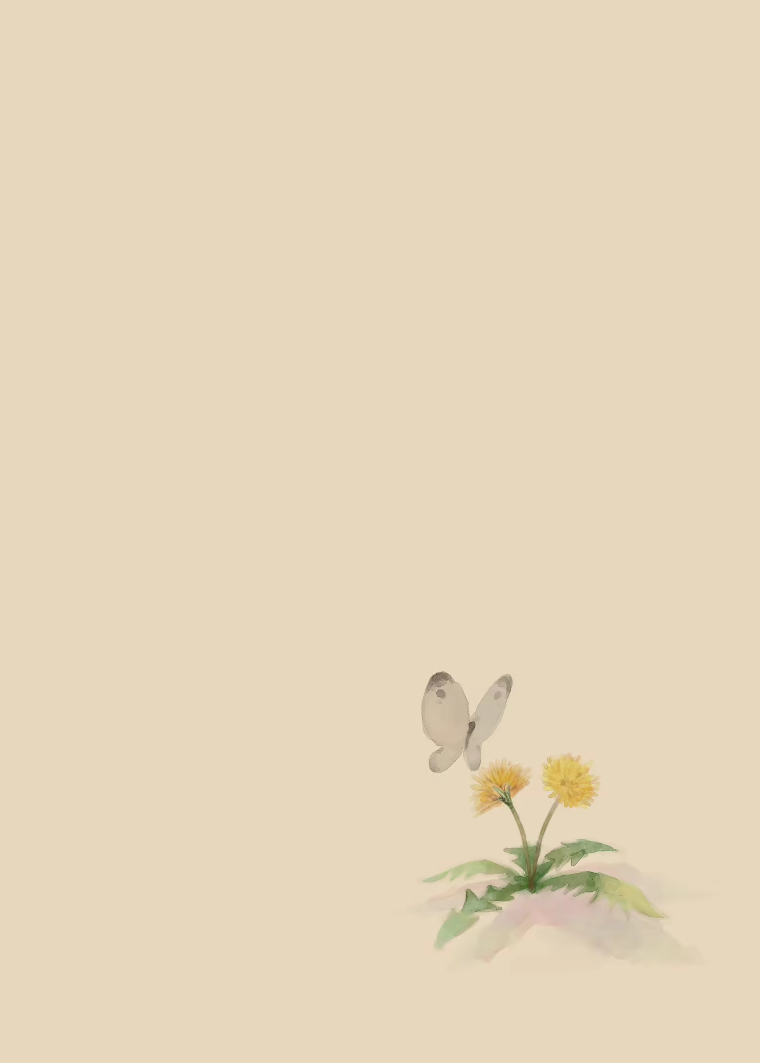 Content 2097763 - 2 페이지