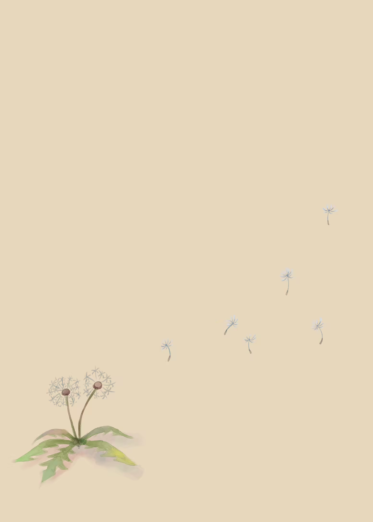 Content 2097763 - 23 페이지