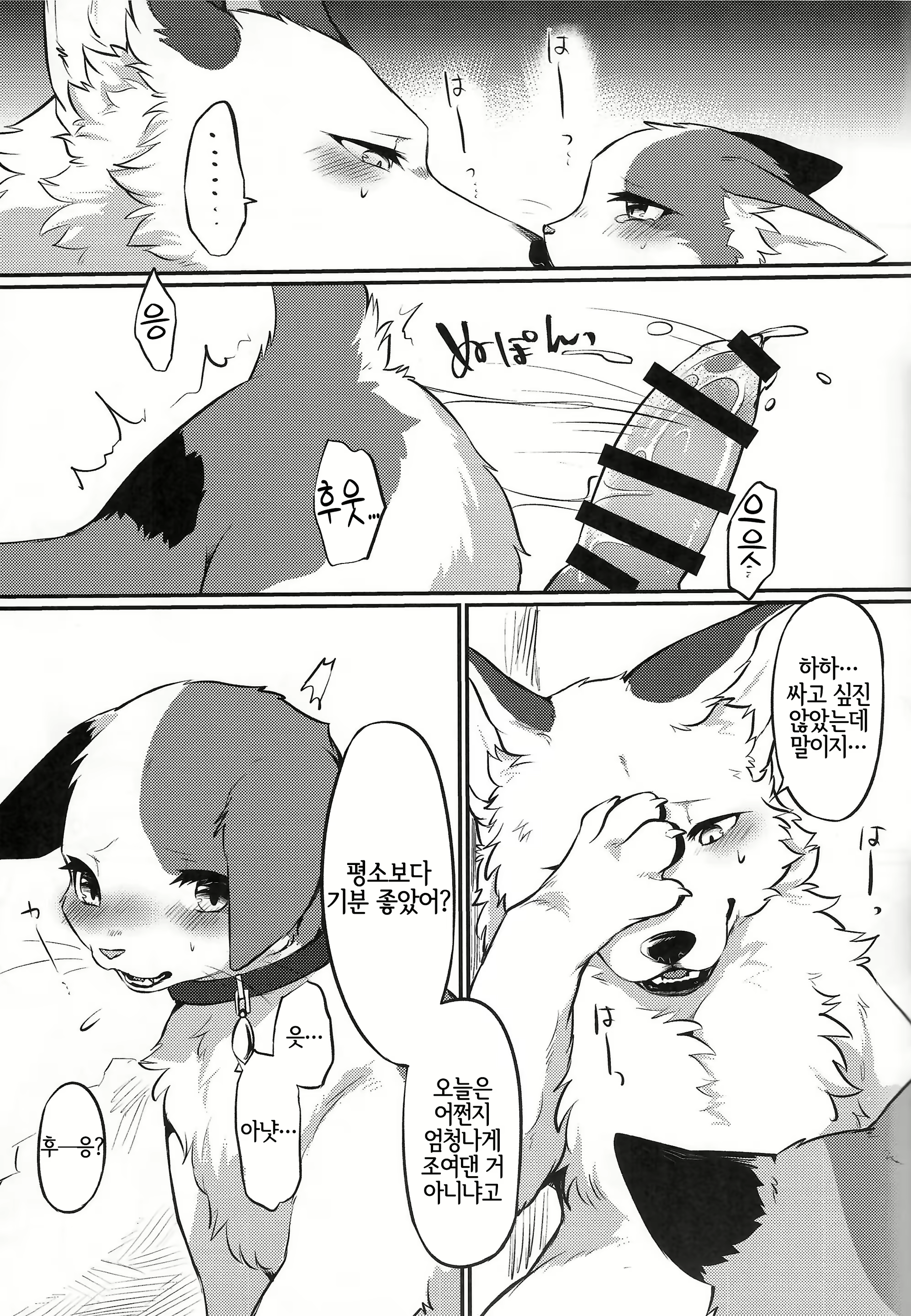 Content 2106847 - 19 페이지