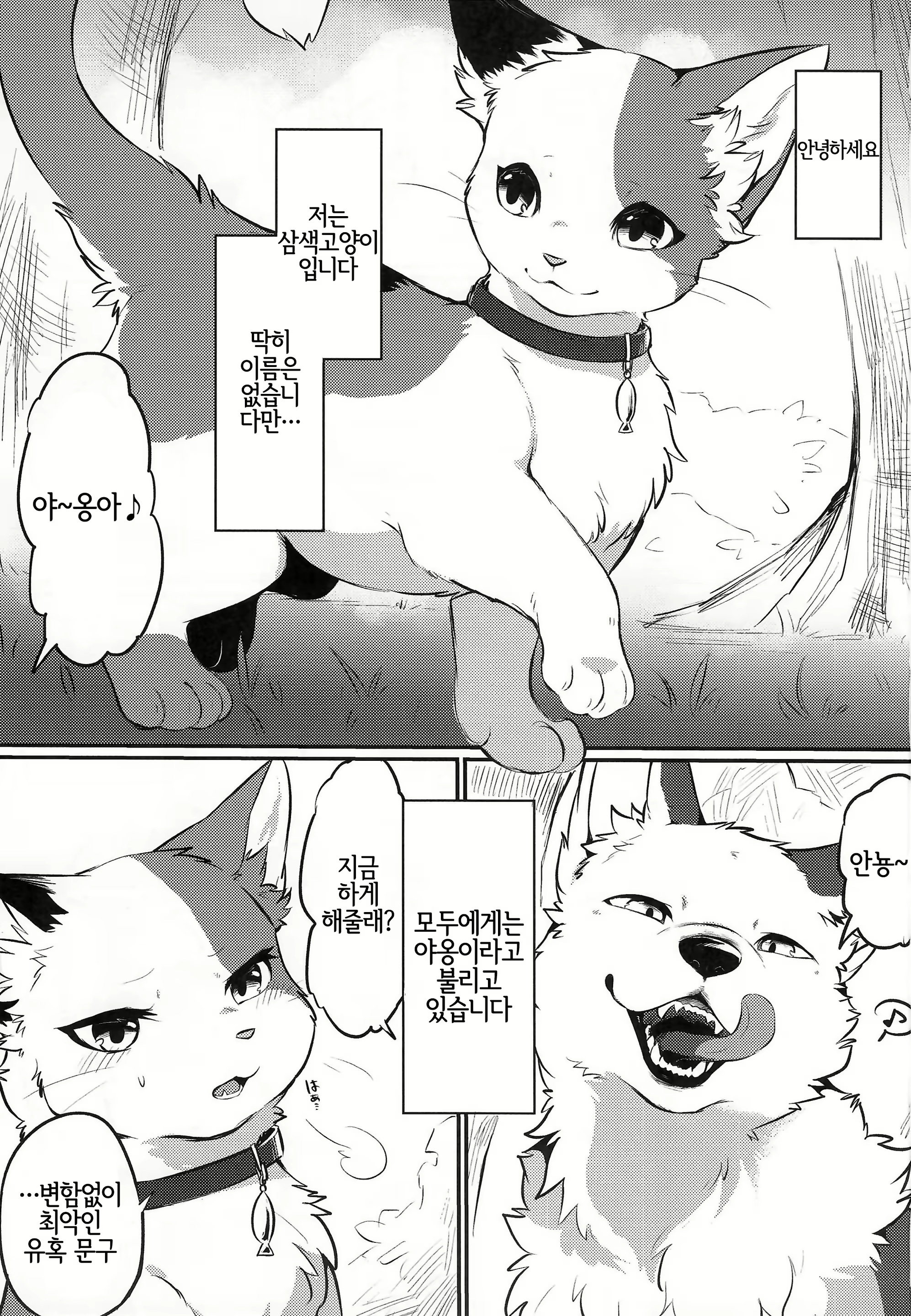 Content 2106847 - 3 페이지