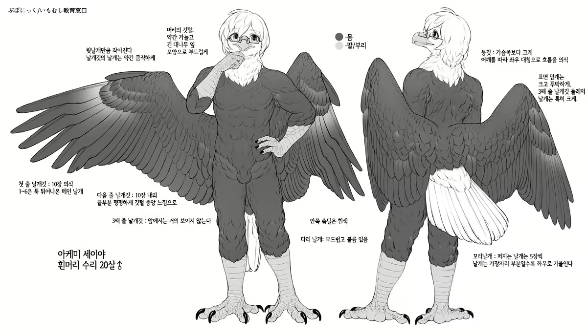 Content 2107823 - 33 페이지