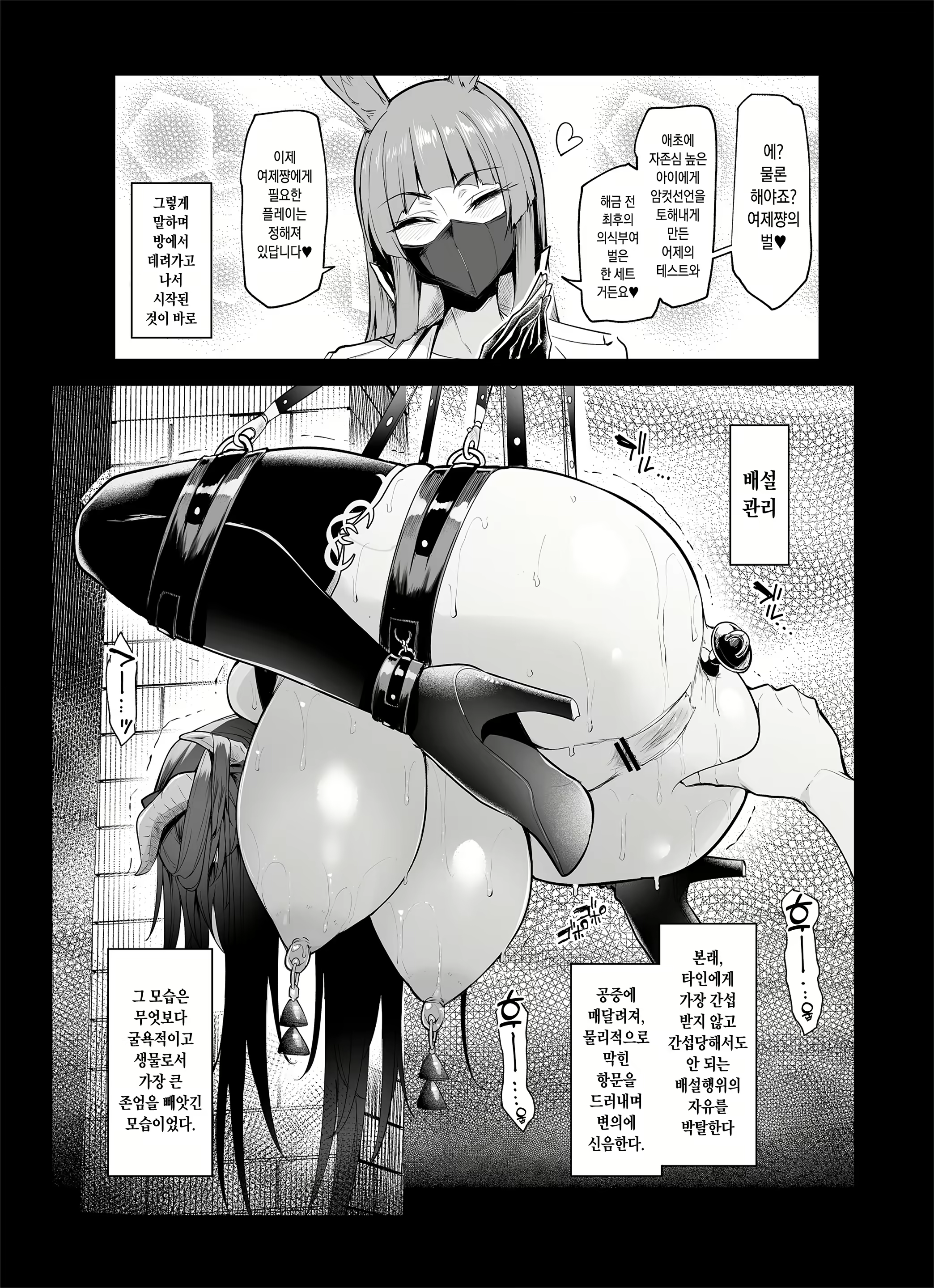 Content 2117671 - 40 페이지