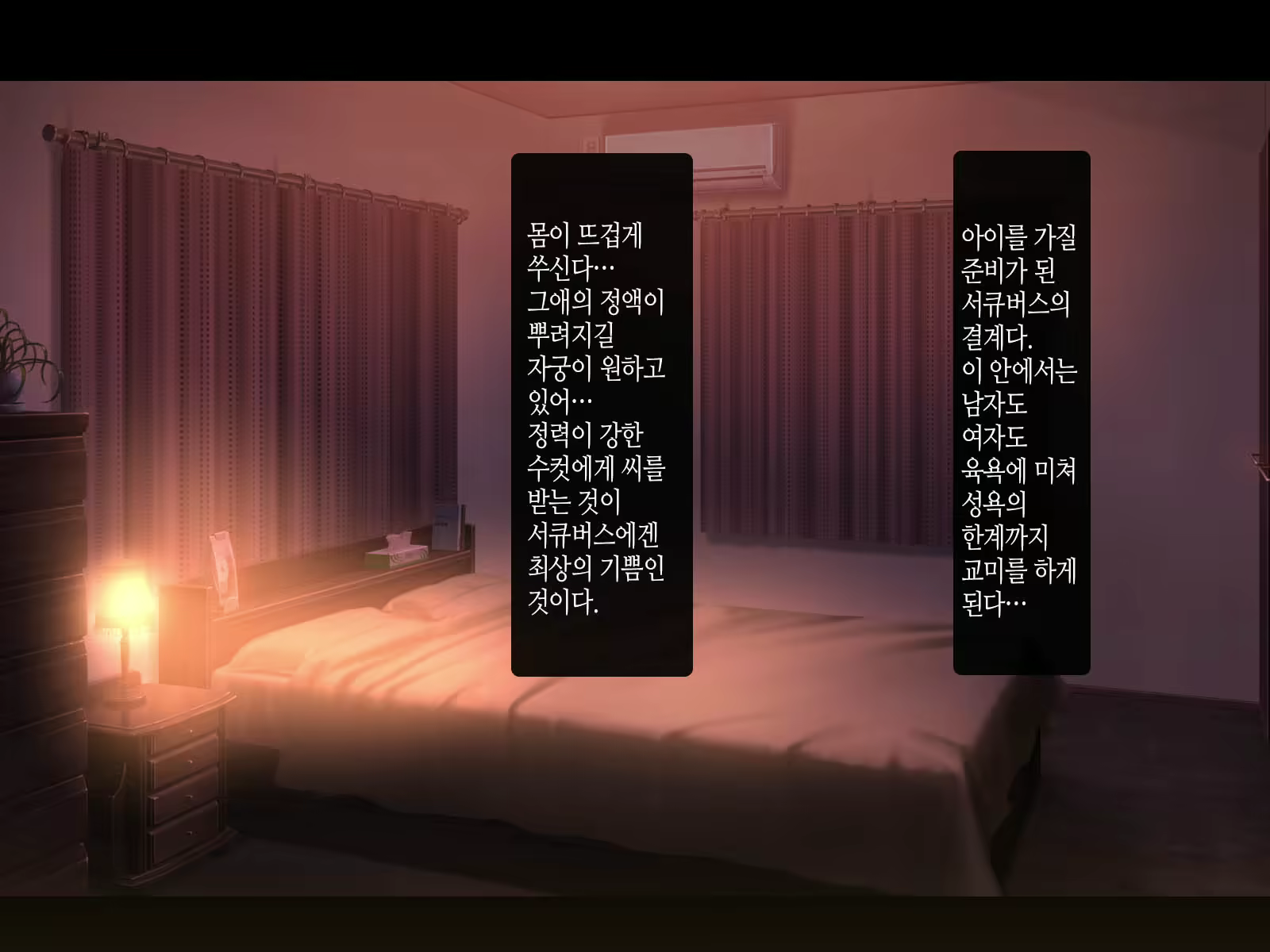 Content 2152399 - 113 페이지