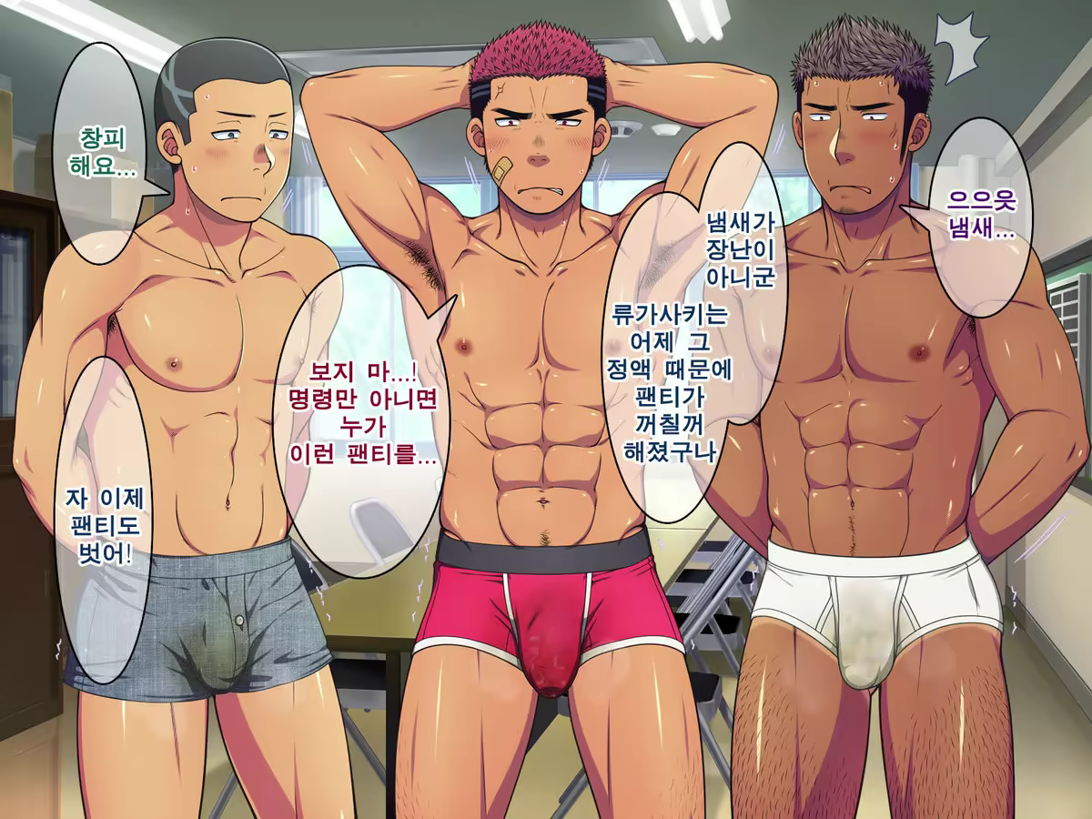 Content 2165014 - 330 페이지
