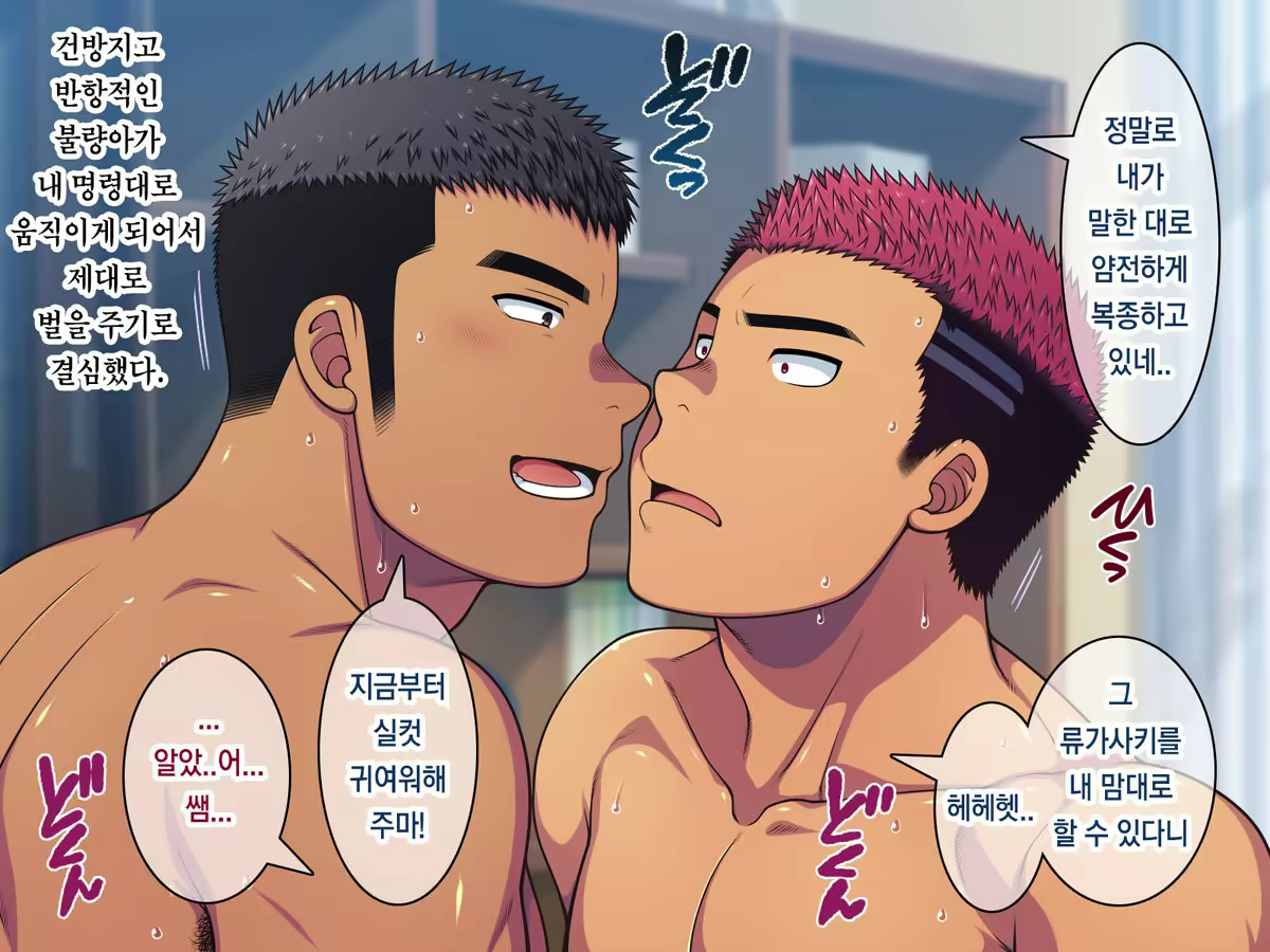 Content 2165014 - 578 페이지