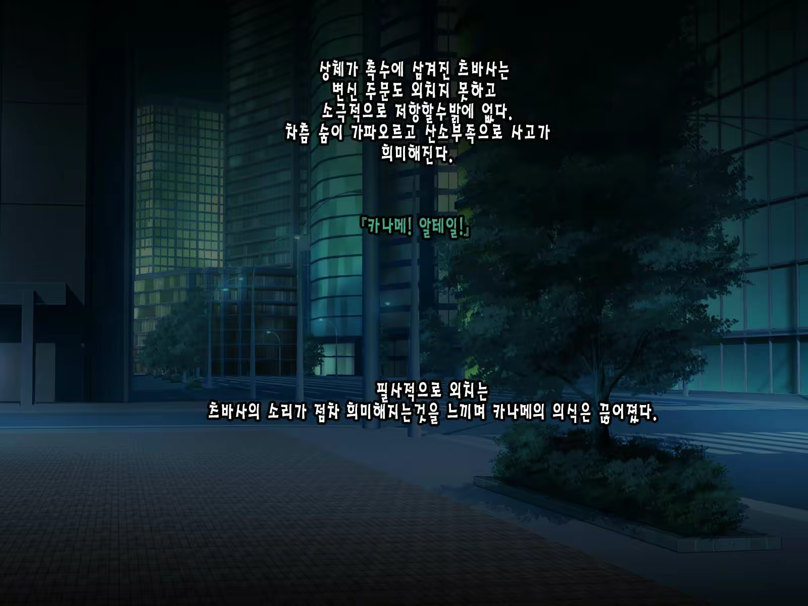 Content 2165598 - 15 페이지