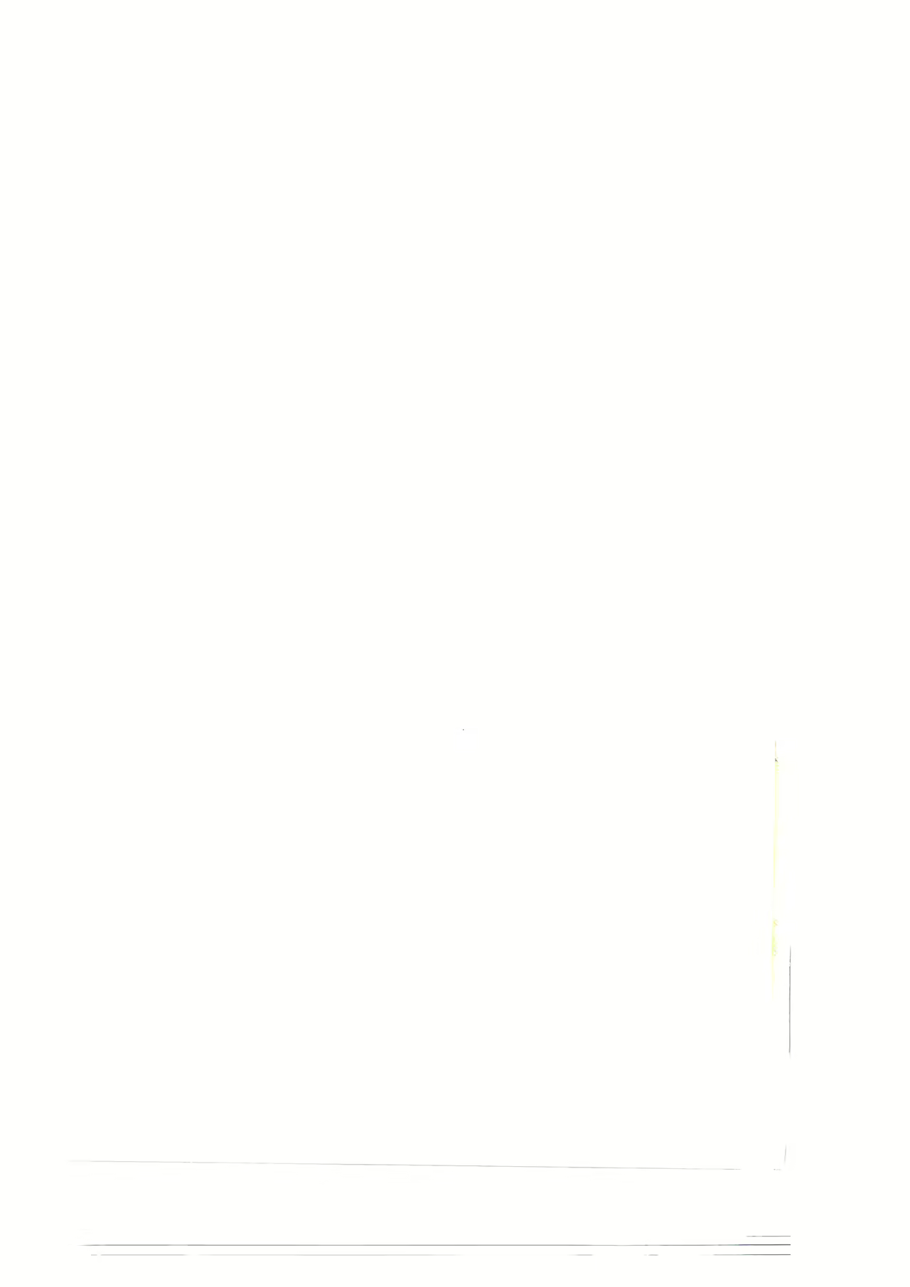 Content 2177601 - 38 페이지