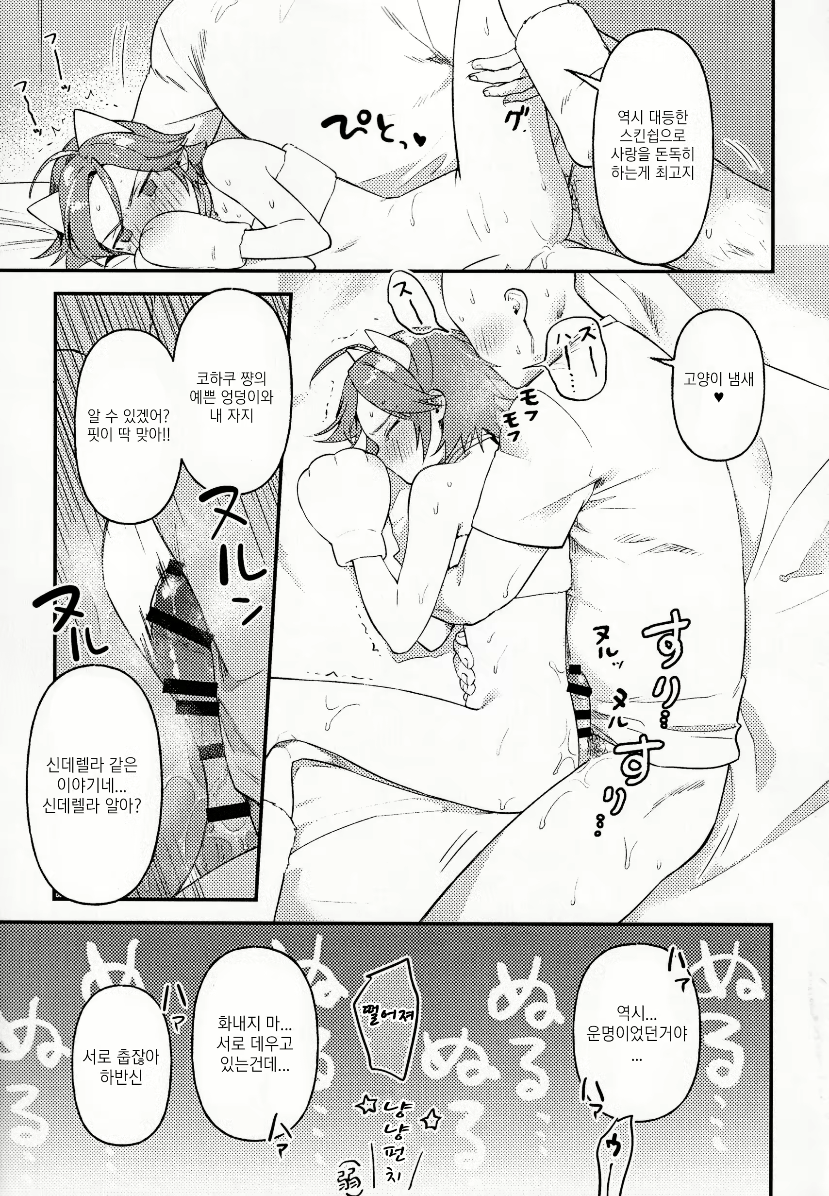 Content 2196049 - 14 페이지