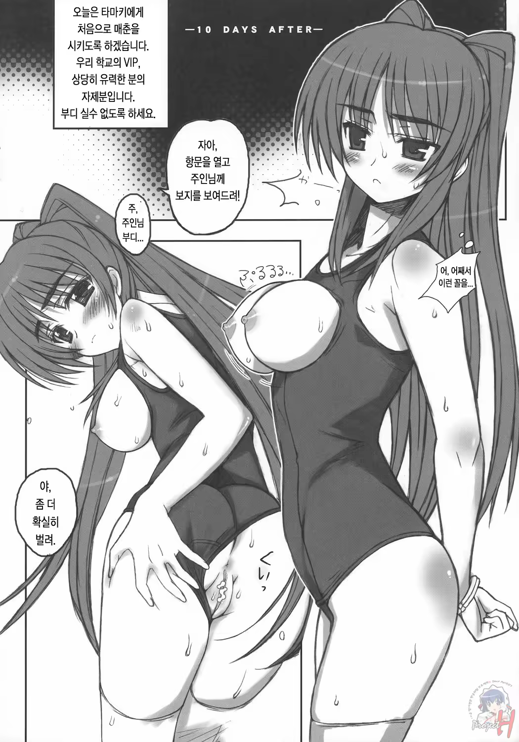 Content 219826 - 13 페이지