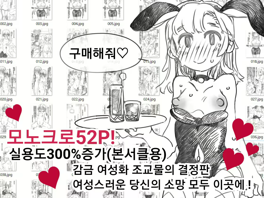 Content 2211741 - 3 페이지
