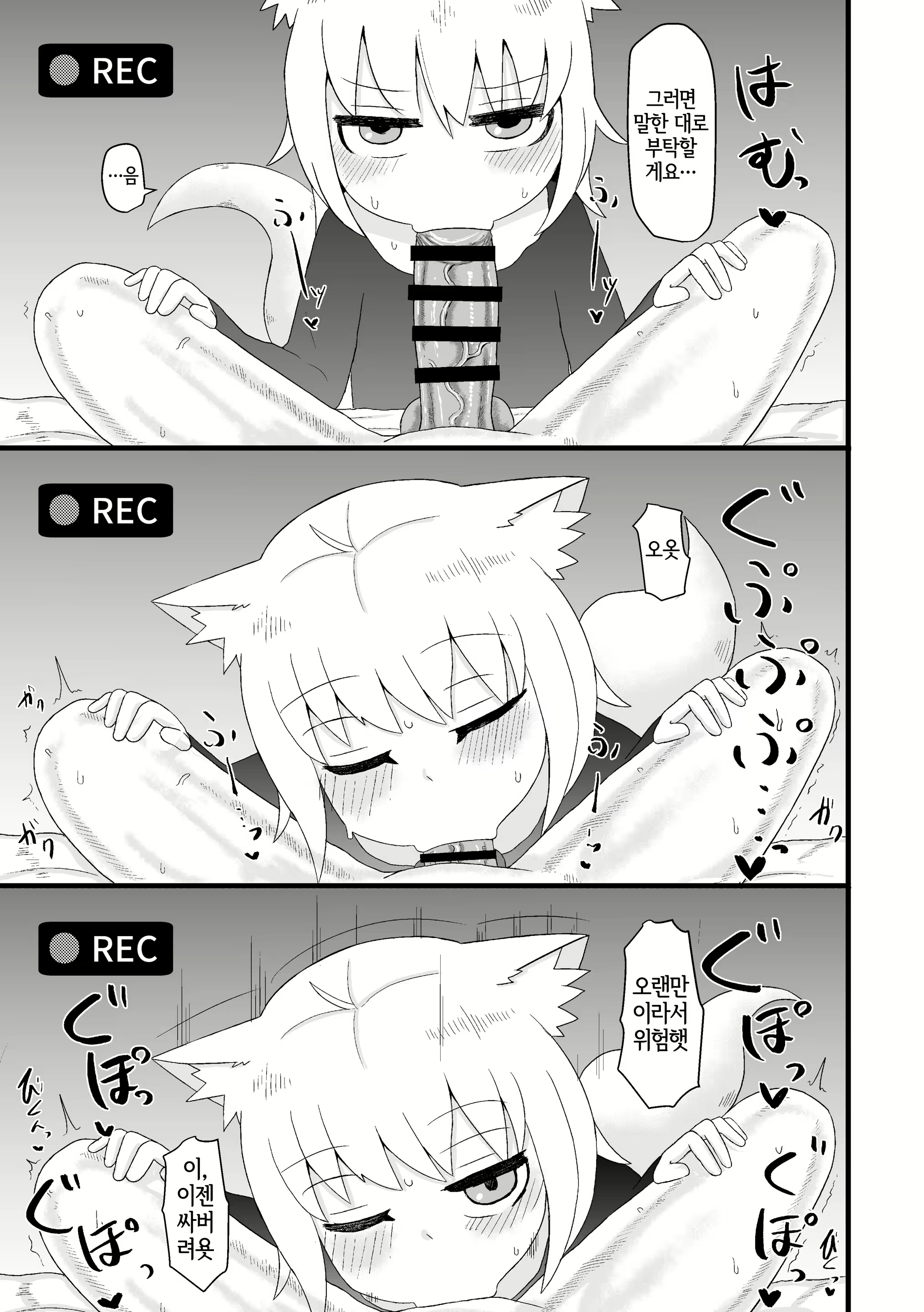 Content 2221607 - 16 페이지