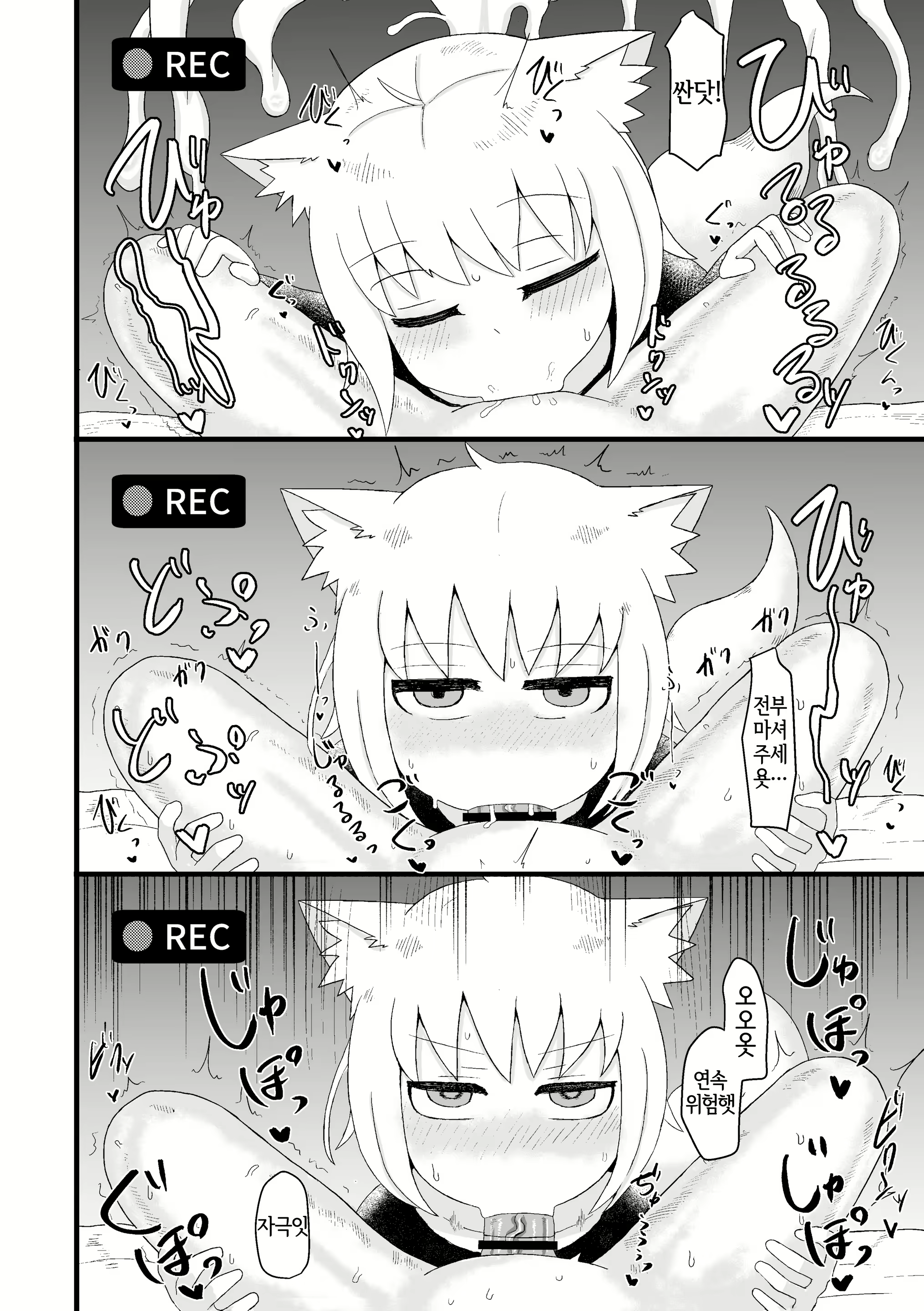 Content 2221607 - 17 페이지