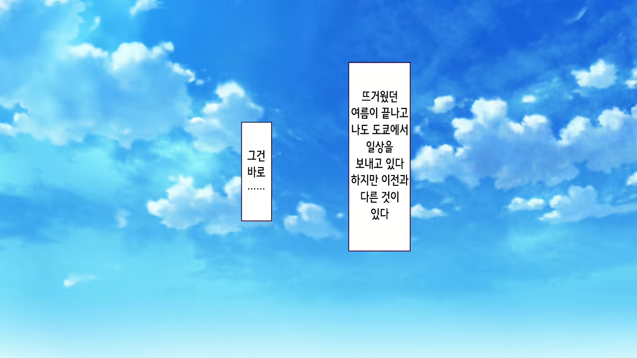 Content 2227608 - 264 페이지