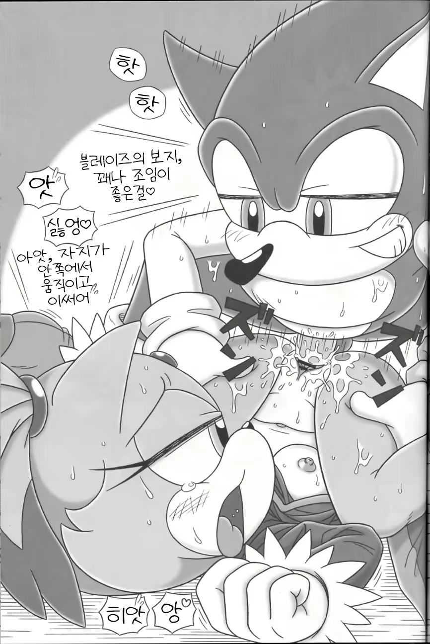 Content 2233666 - 19 페이지