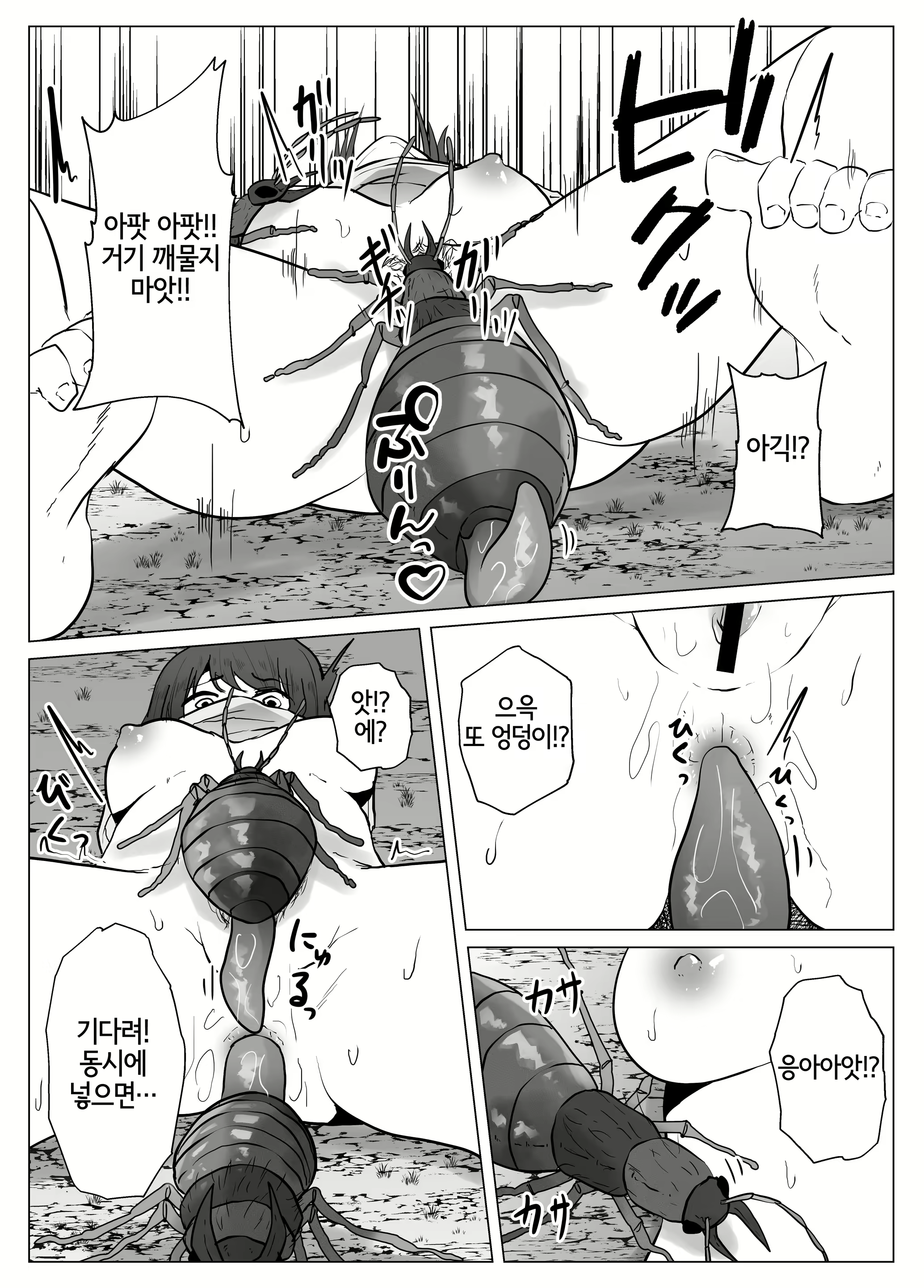 Content 2237747 - 15 페이지