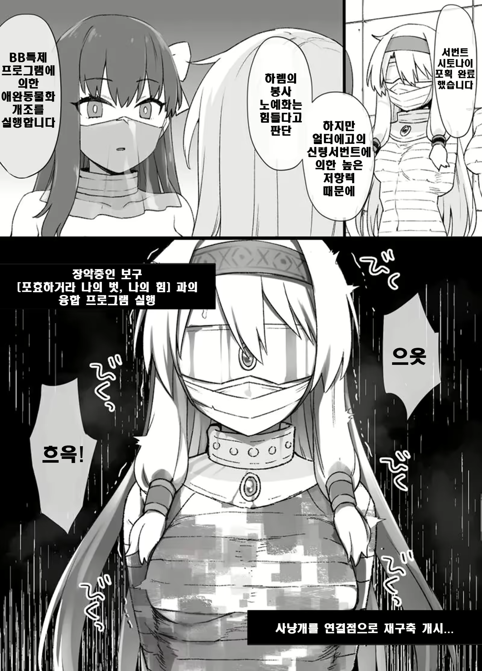 Content 2242460 - 3 페이지