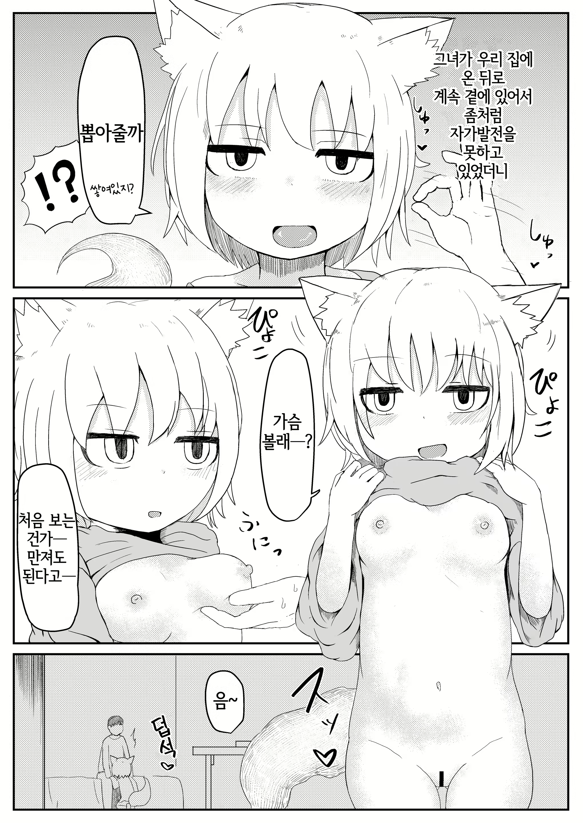 Content 2244921 - 13 페이지
