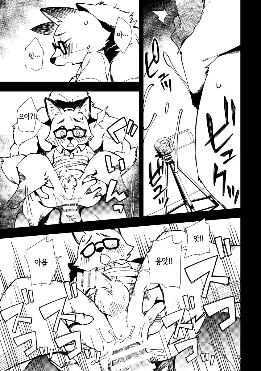 Content 2246803 - 10 페이지