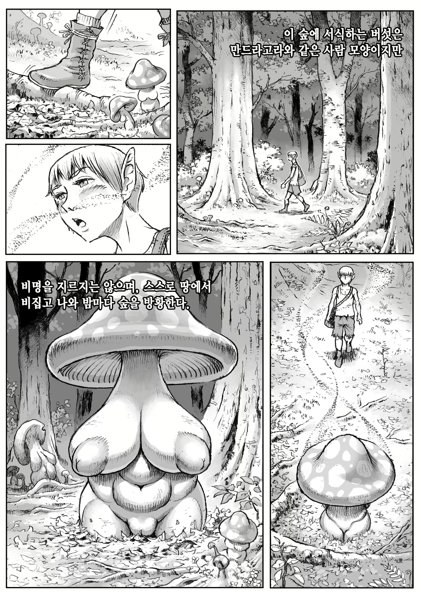 Content 2247950 - 2 페이지