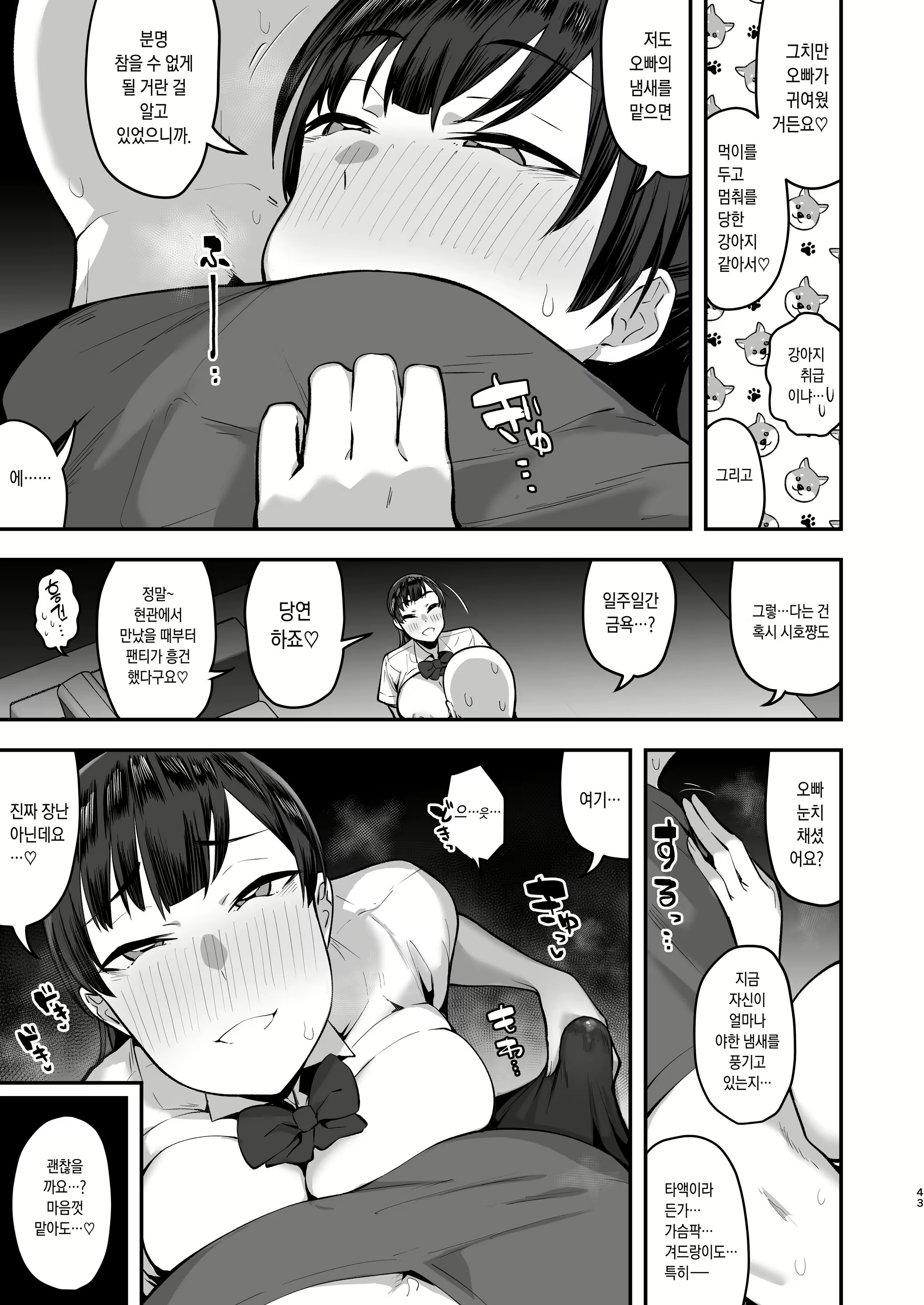 Content 2248744 - 43 페이지