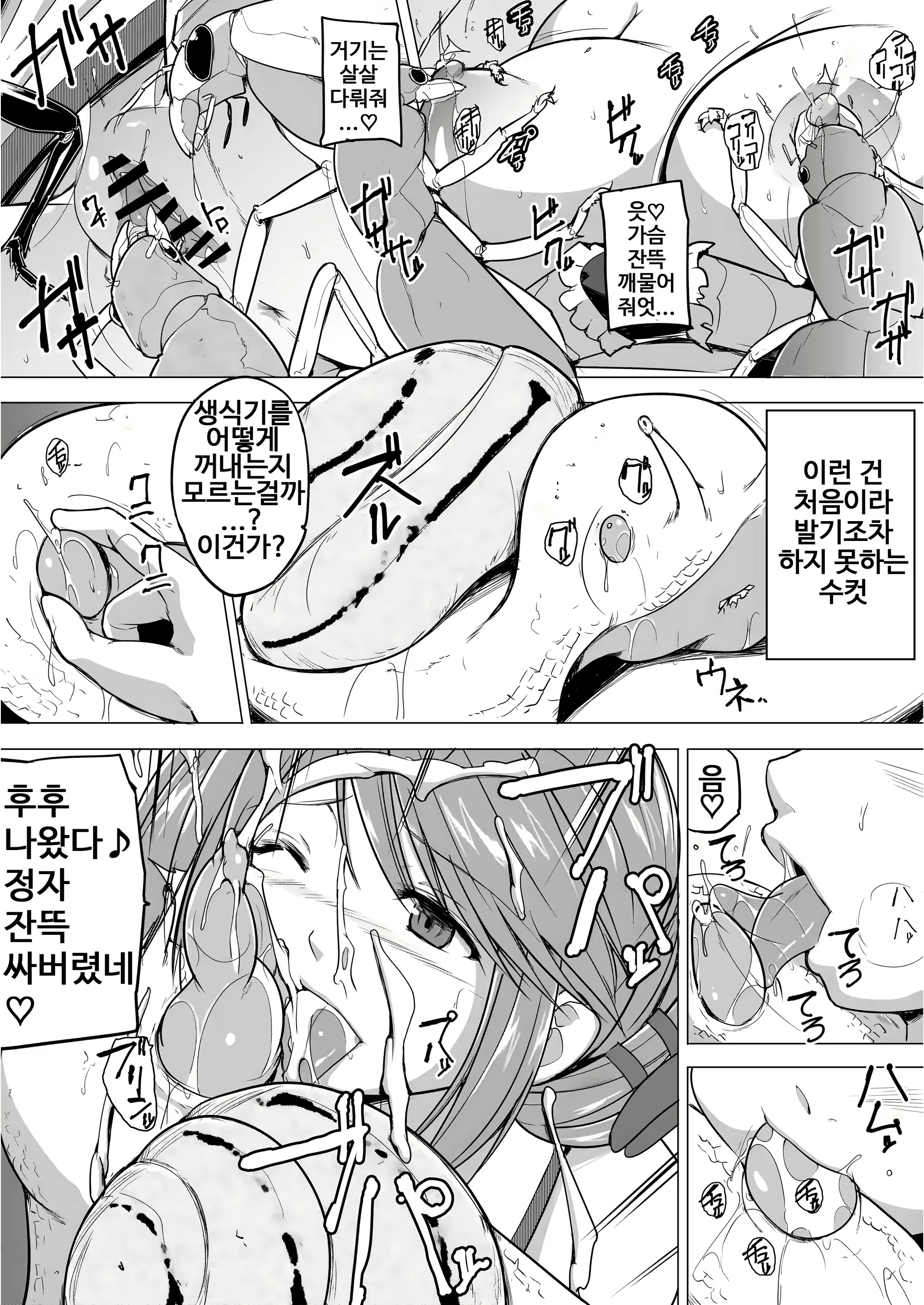 Content 2249834 - 17 페이지