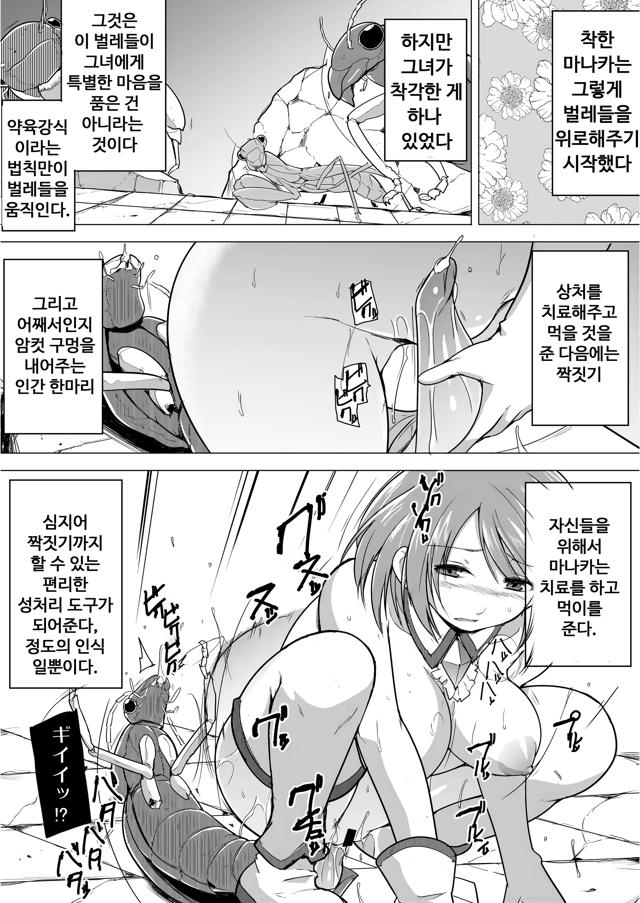 Content 2249834 - 24 페이지