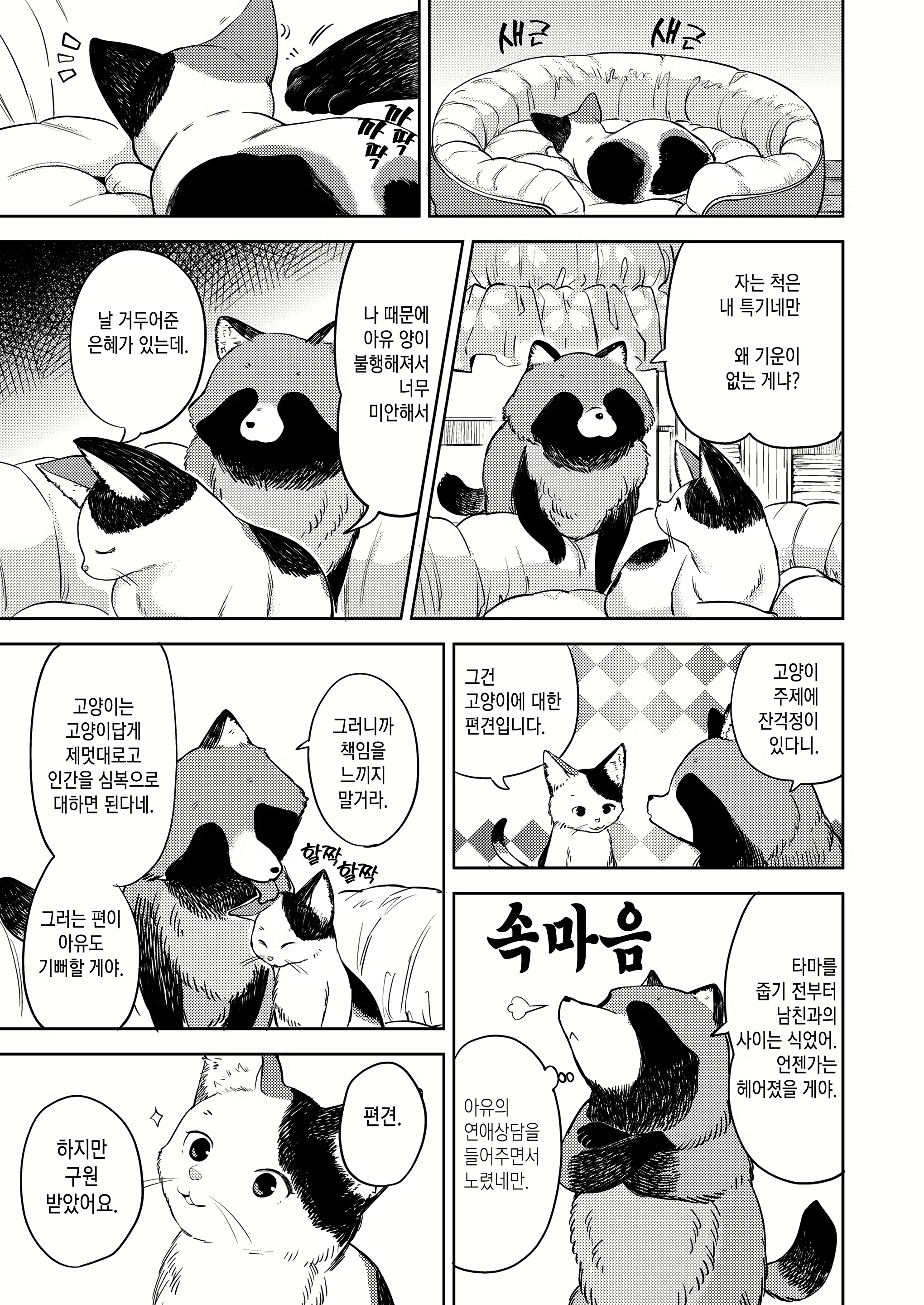 Content 2263032 - 17 페이지