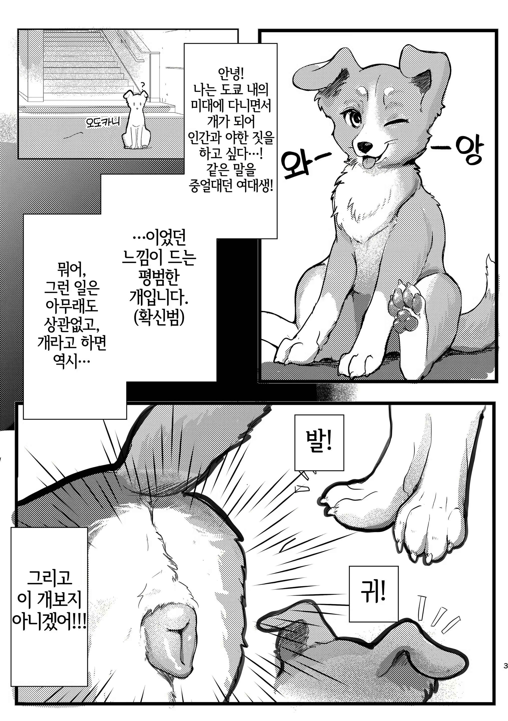 Content 2270763 - 2 페이지