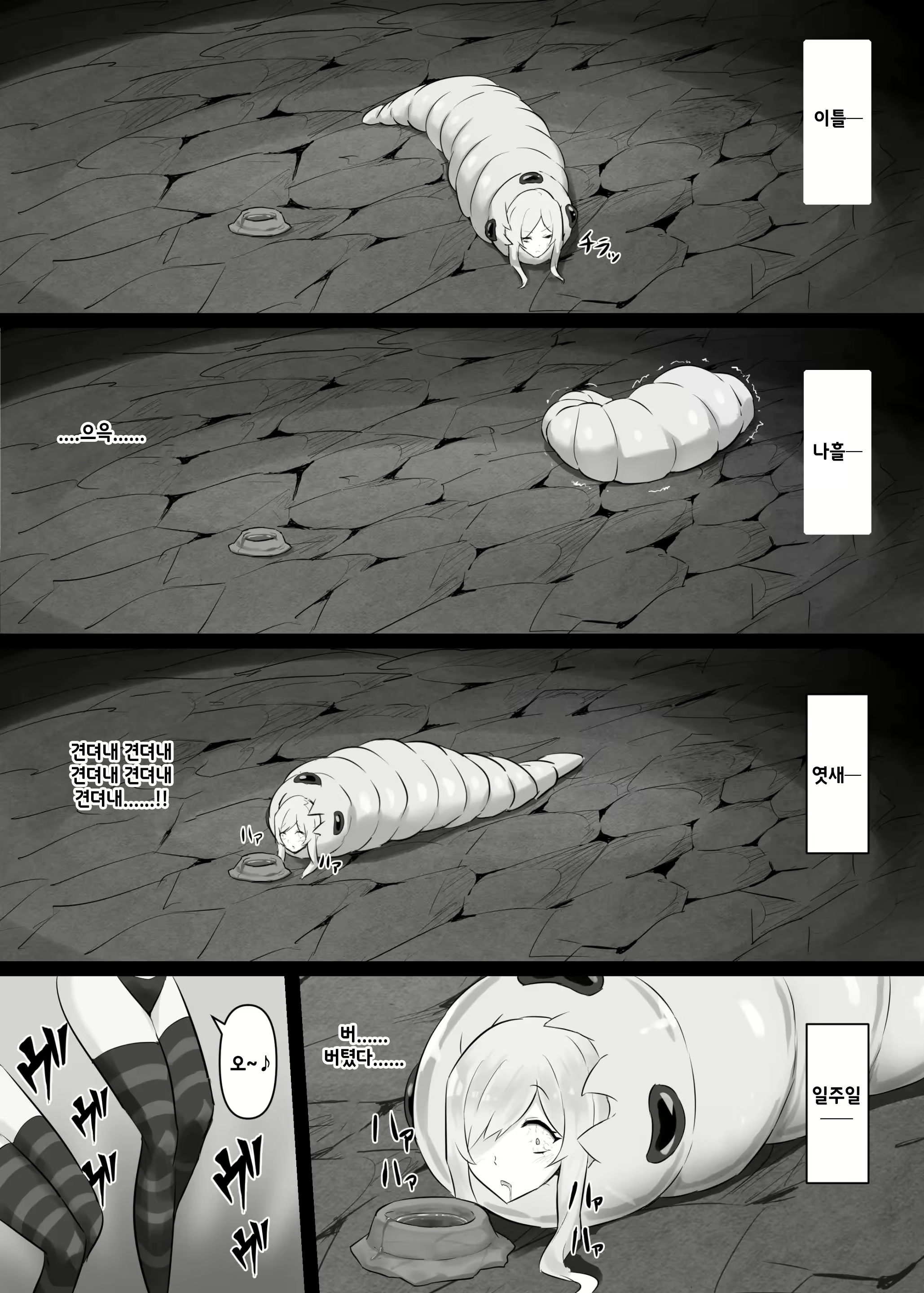 Content 2287252 - 23 페이지