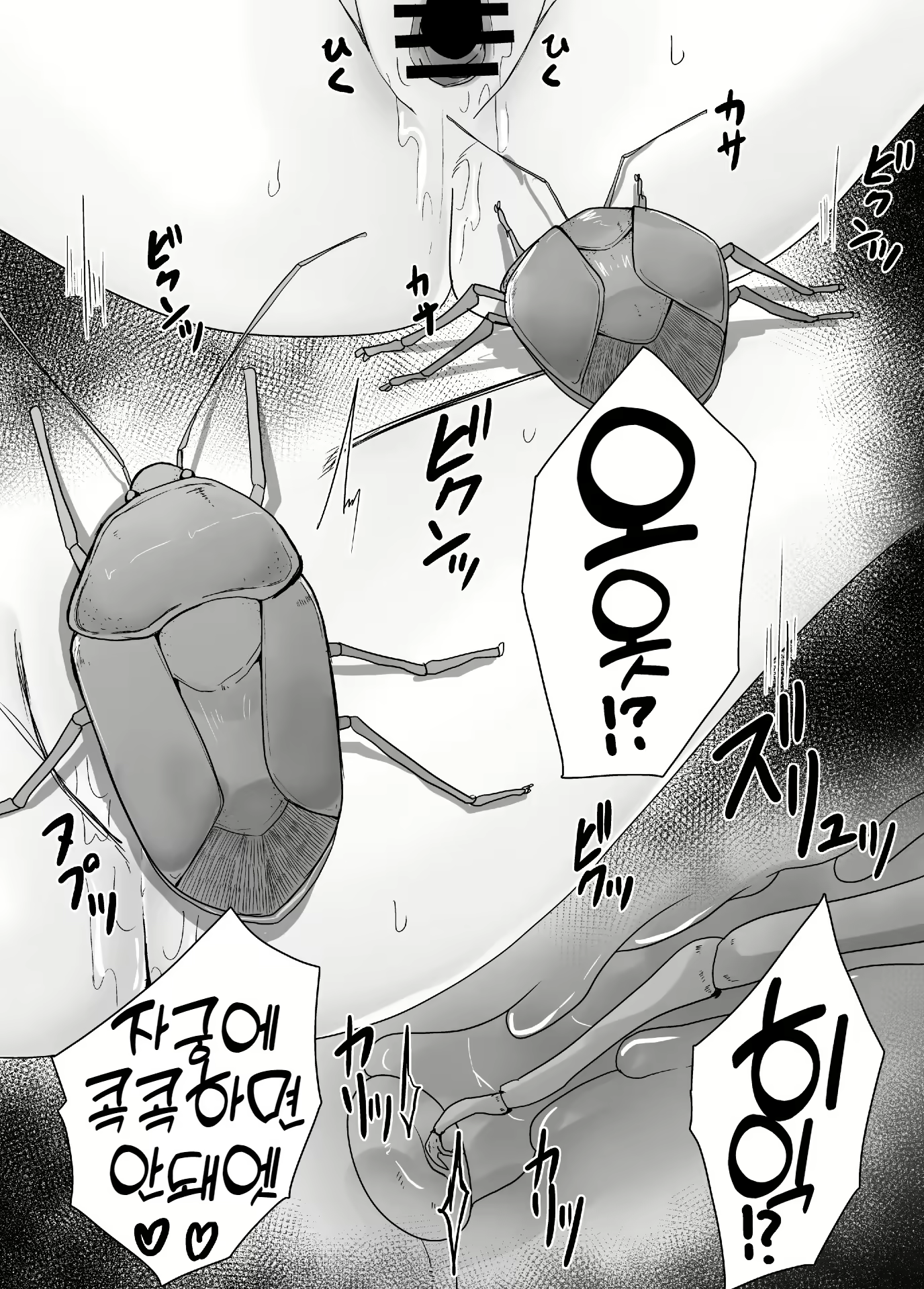 Content 2295149 - 15 페이지