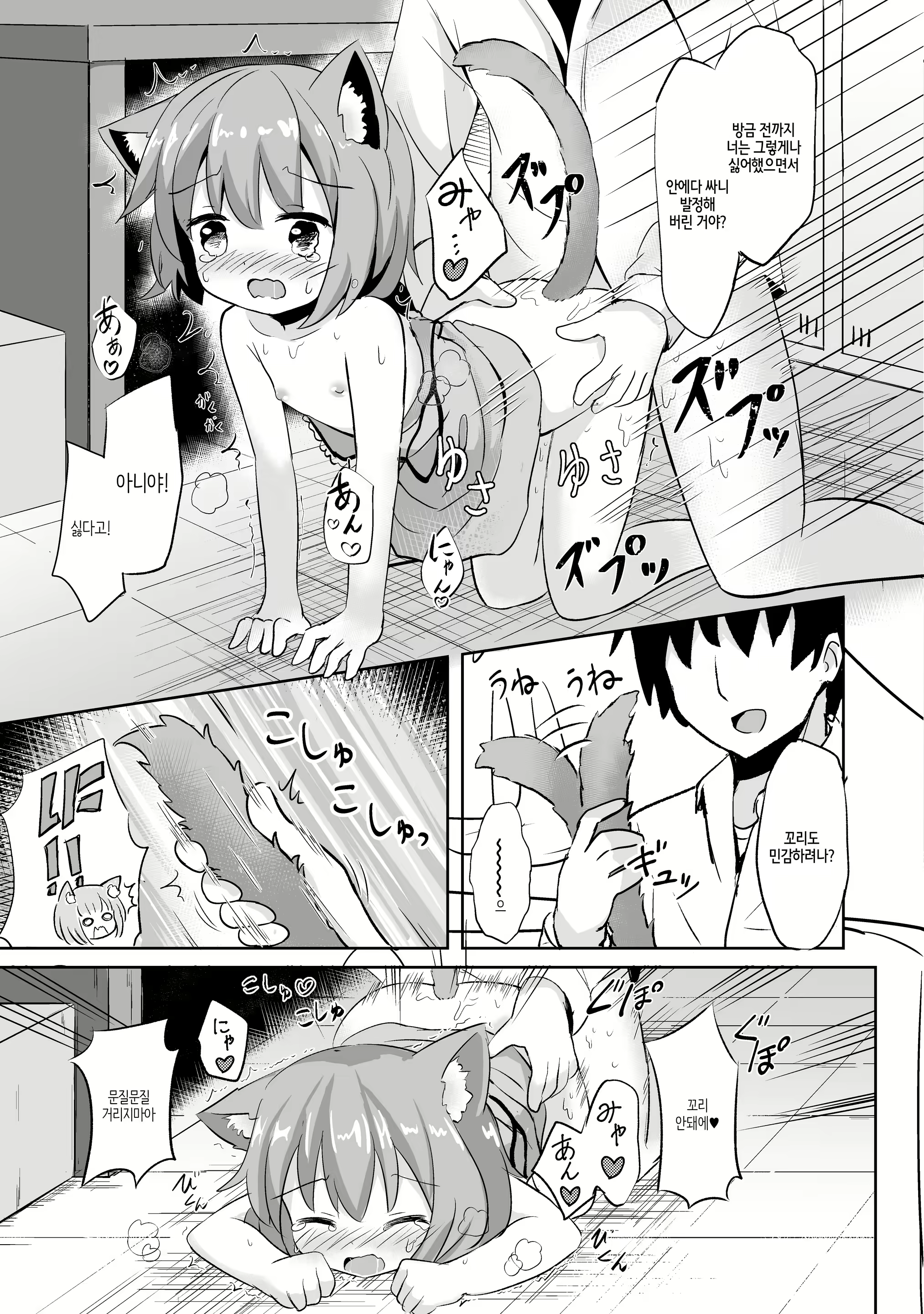 Content 2306207 - 16 페이지