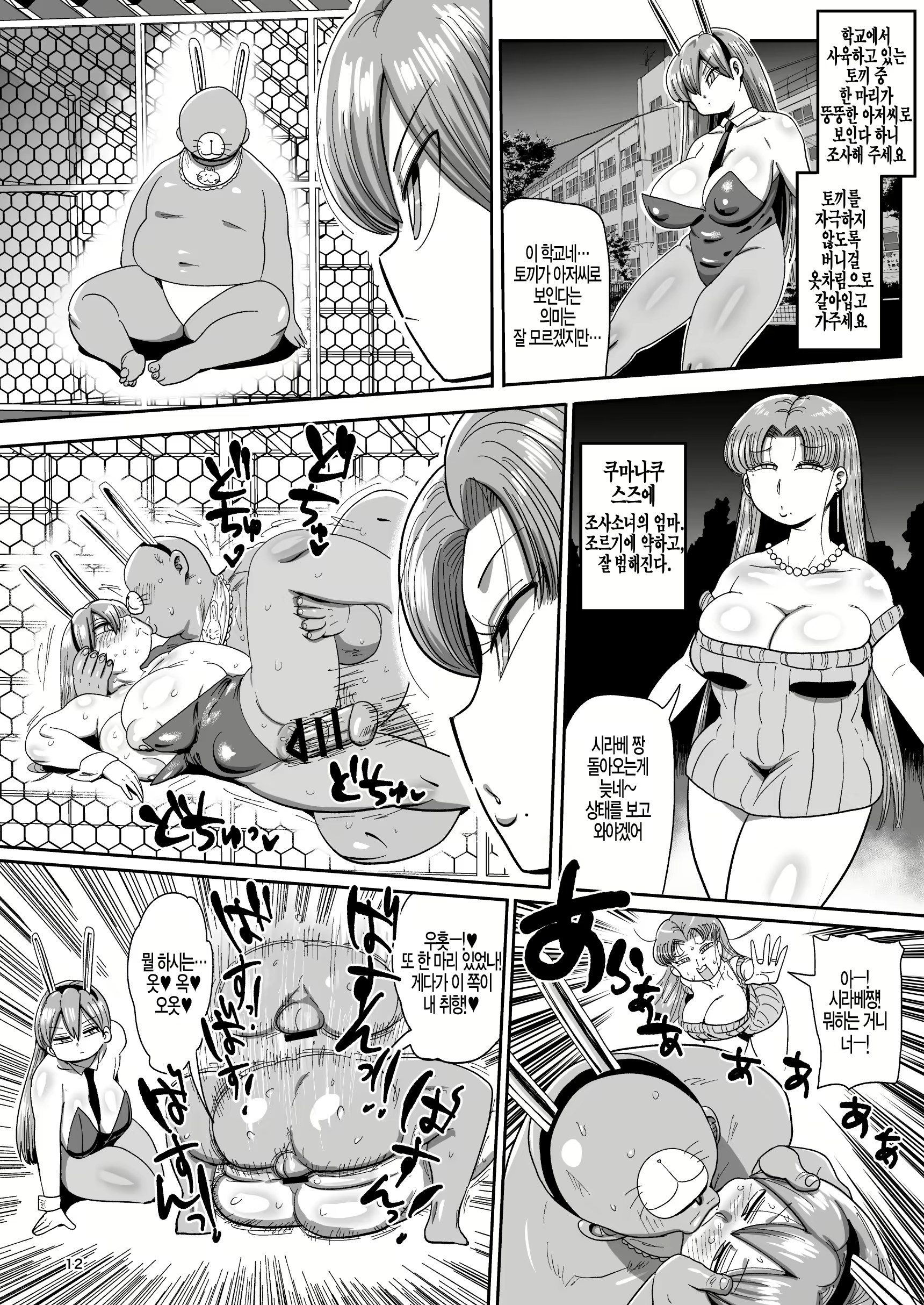 Content 2306728 - 12 페이지