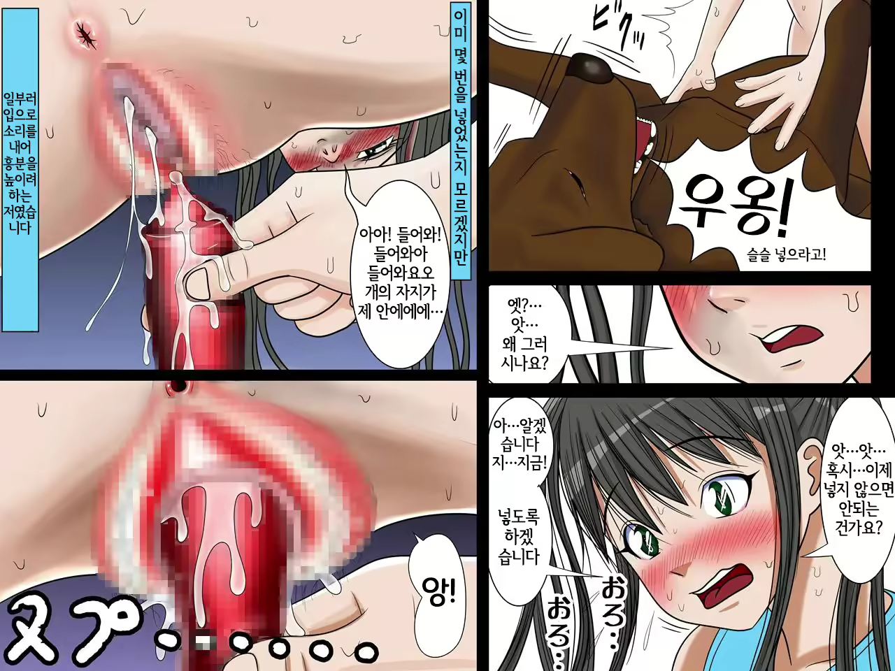 Content 2310061 - 22 페이지
