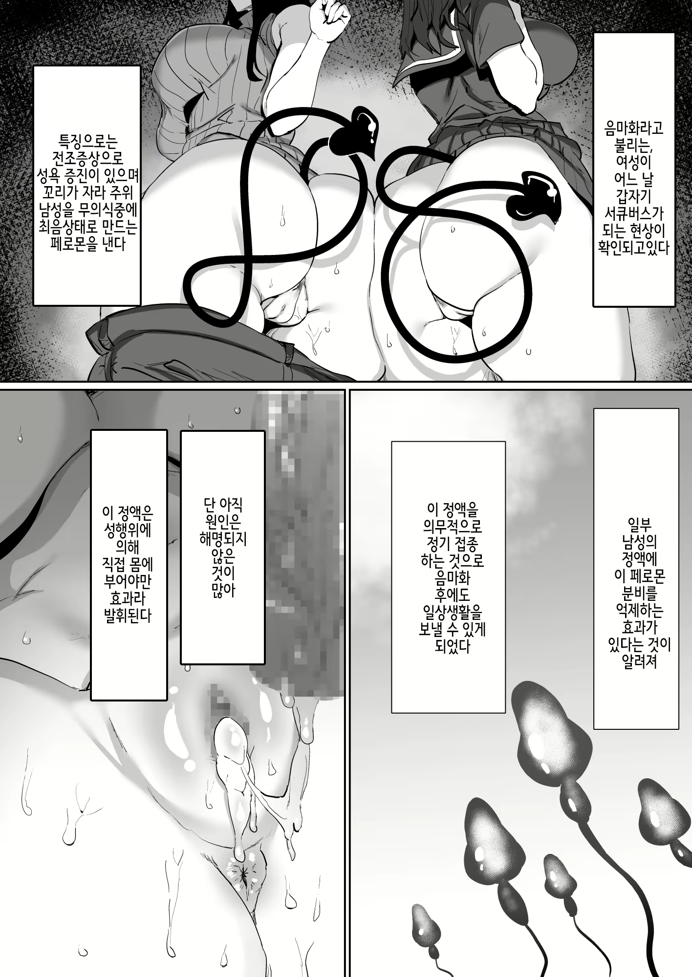 Content 2317275 - 7 페이지