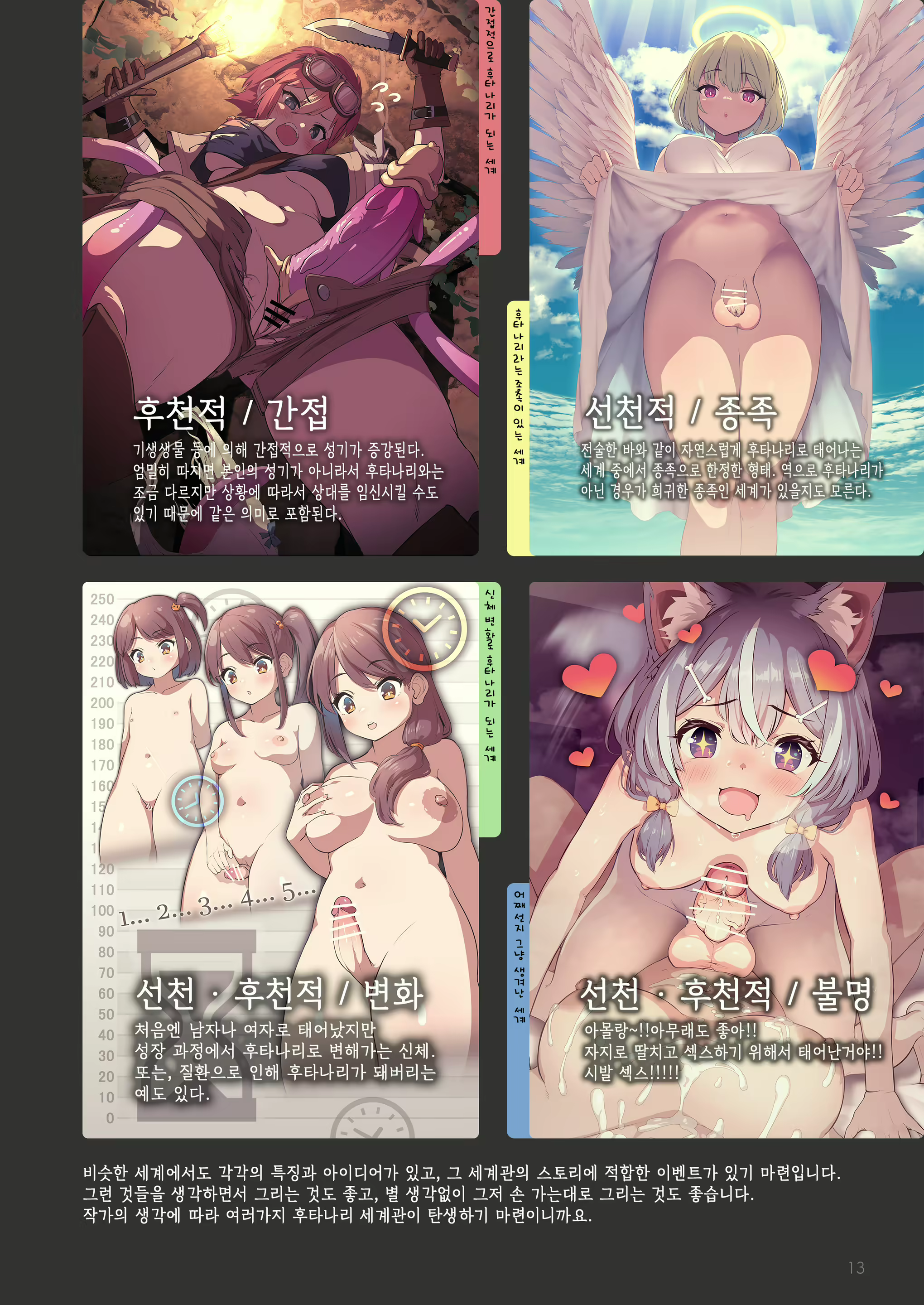 Content 2319161 - 13 페이지