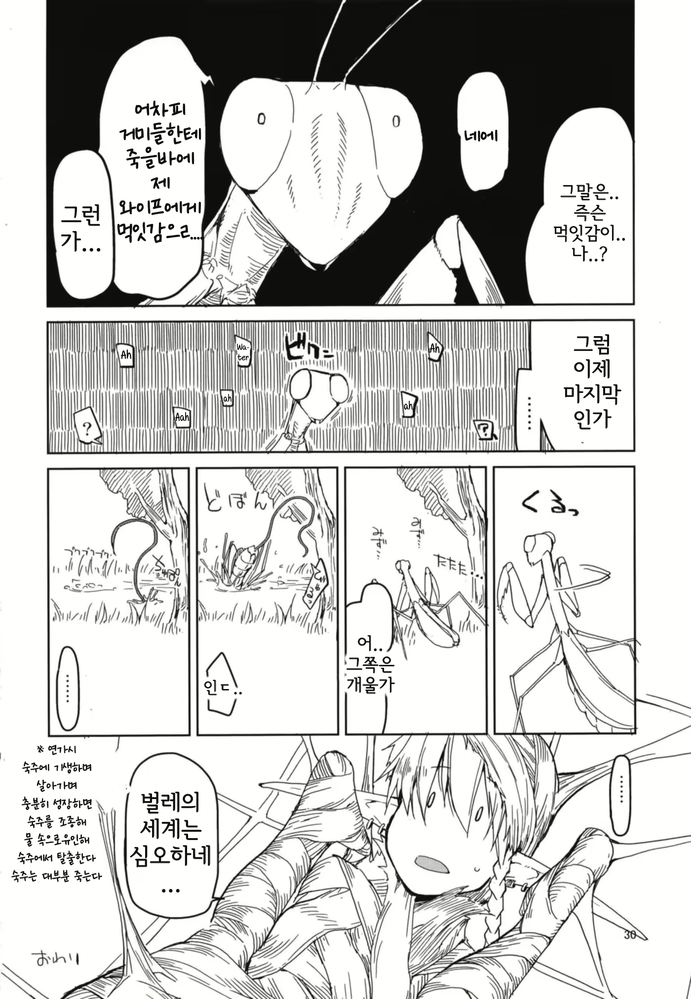 Content 2319979 - 32 페이지