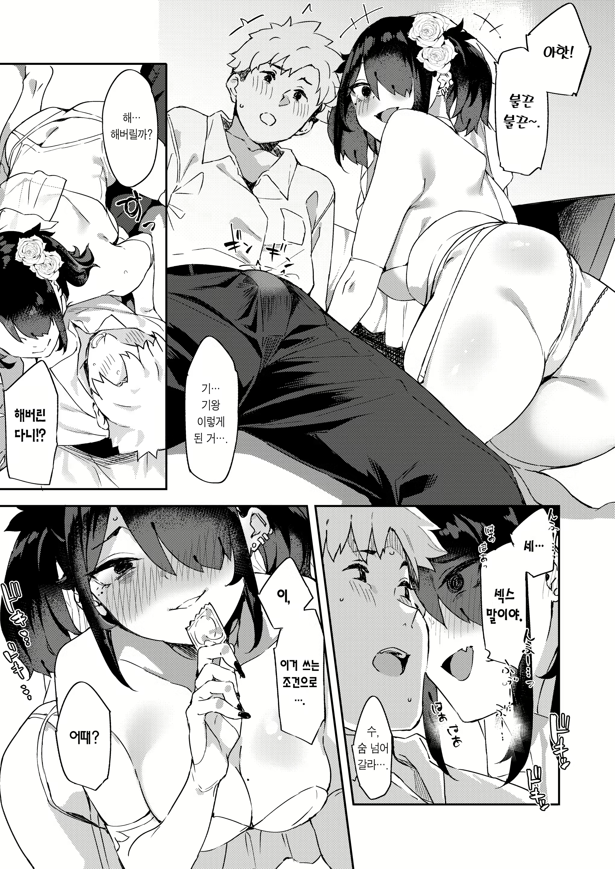 Content 2326351 - 15 페이지