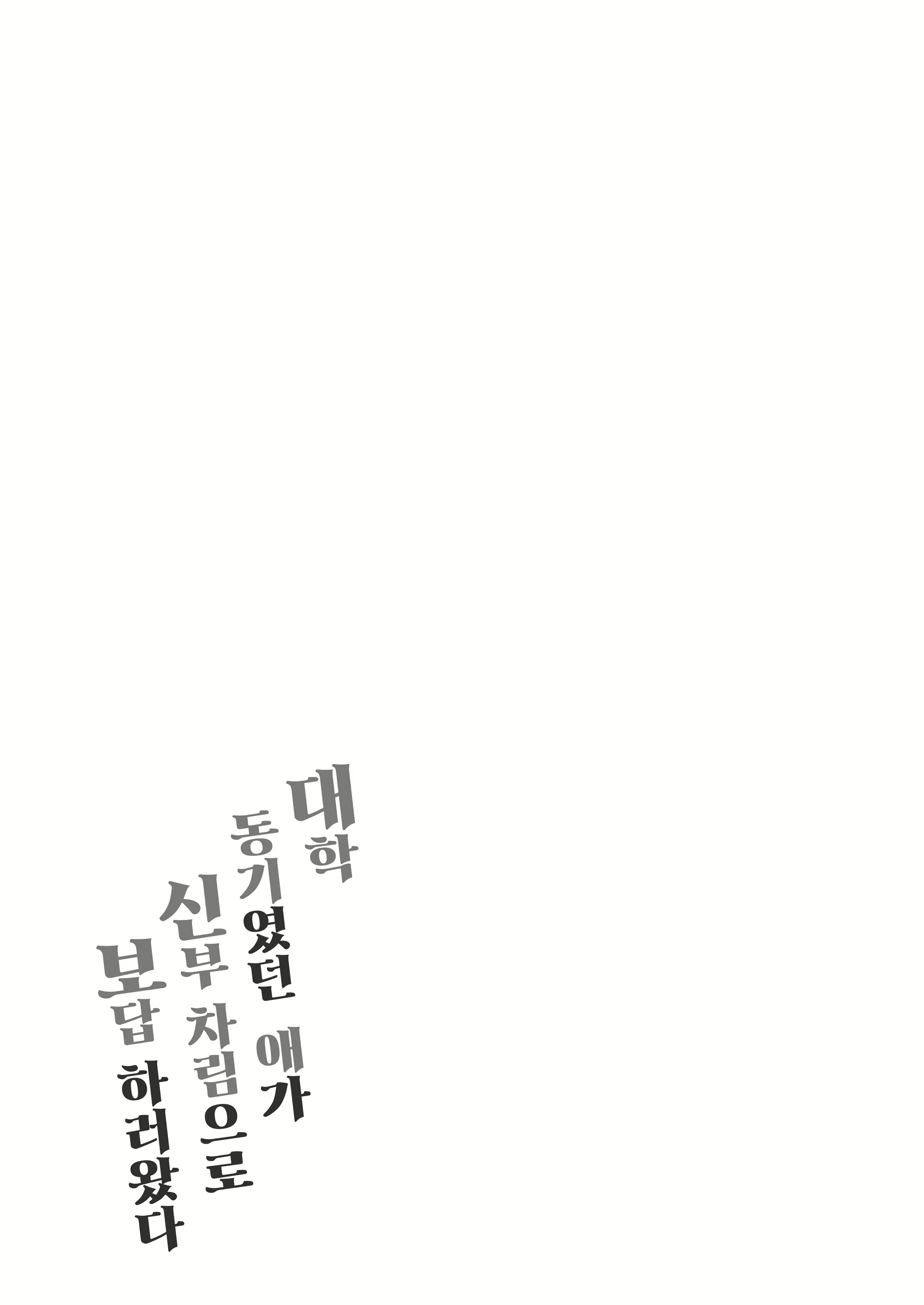 Content 2326351 - 43 페이지