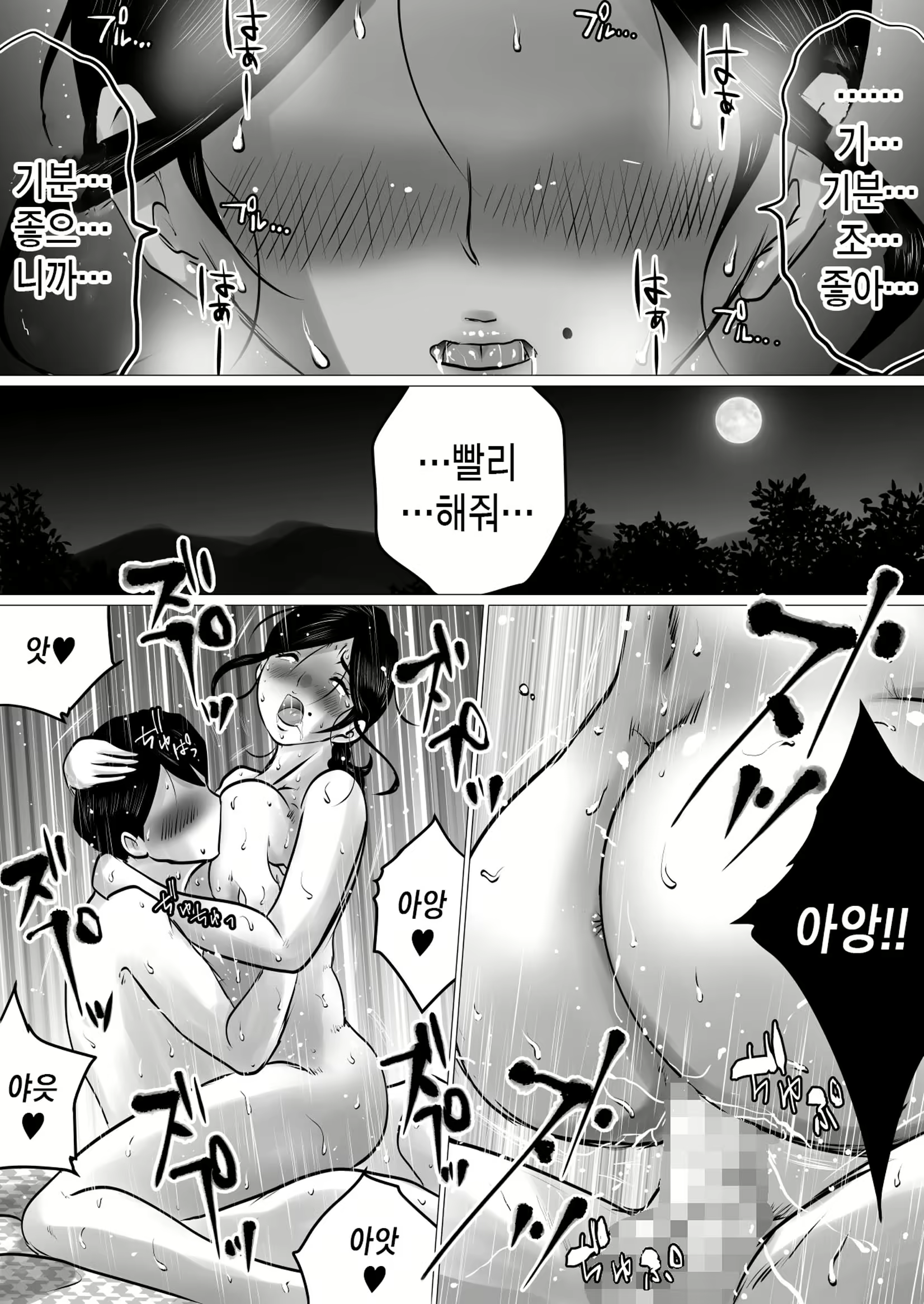 Content 2332536 - 38 페이지