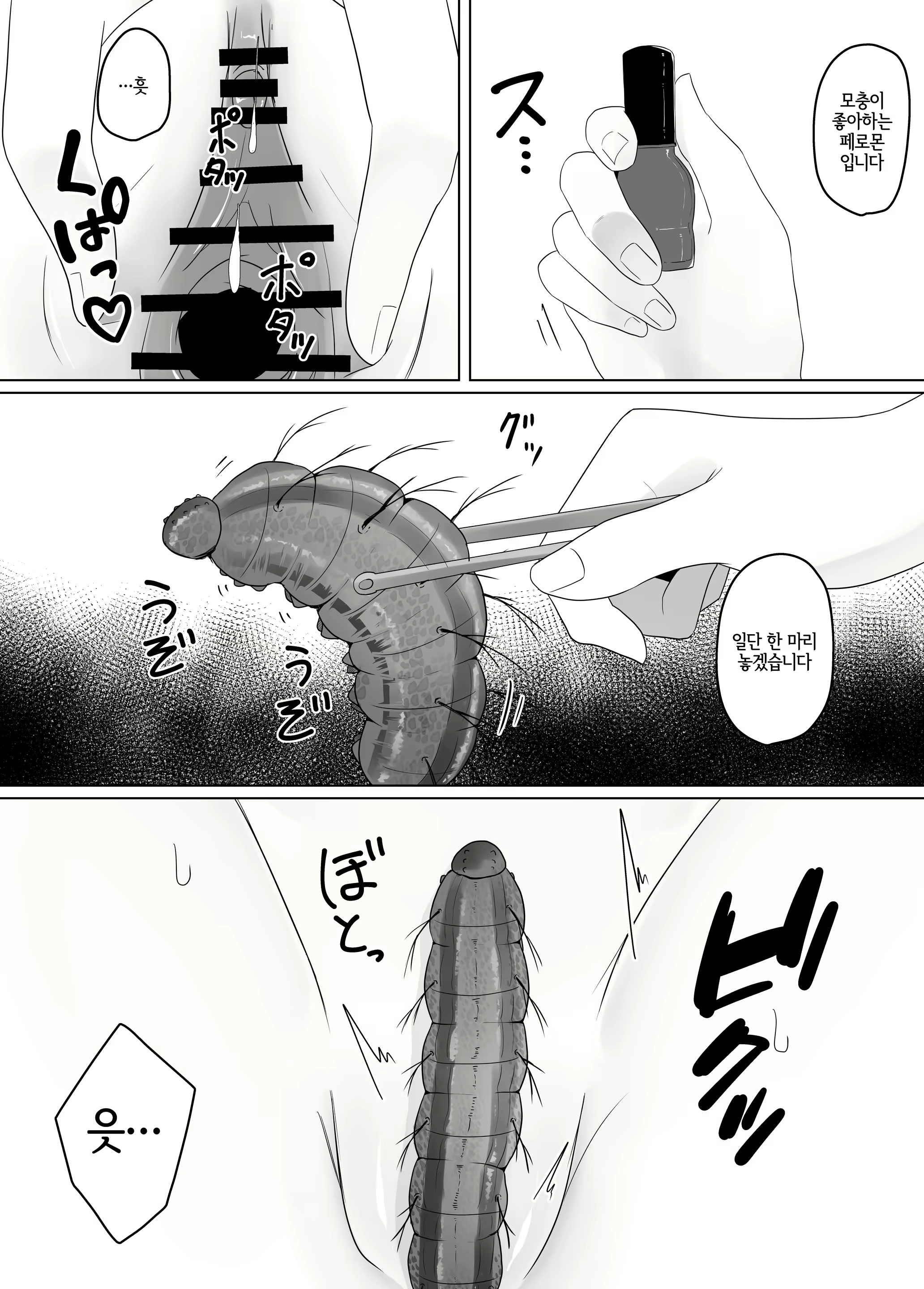 Content 2344565 - 11 페이지