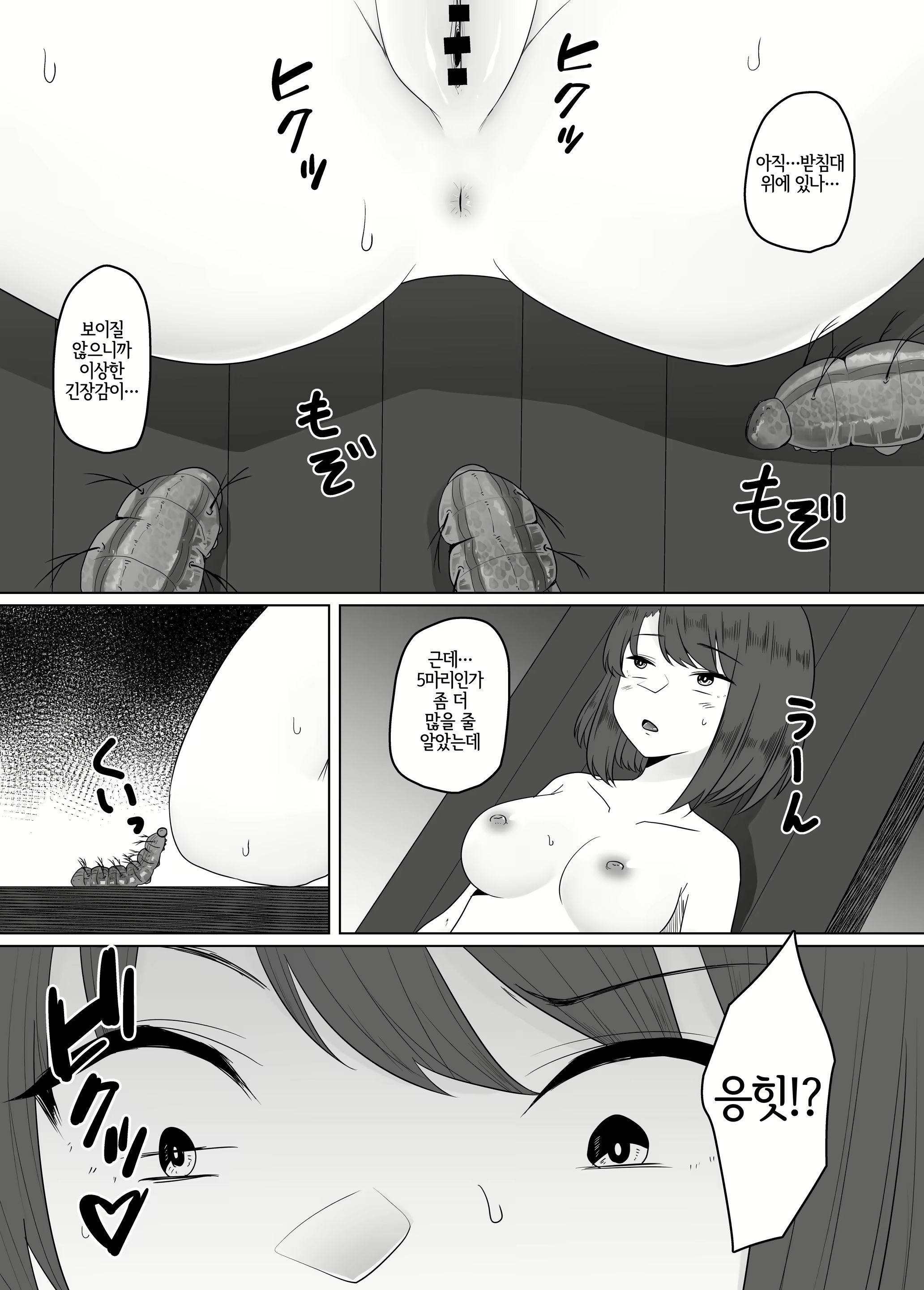 Content 2344565 - 13 페이지
