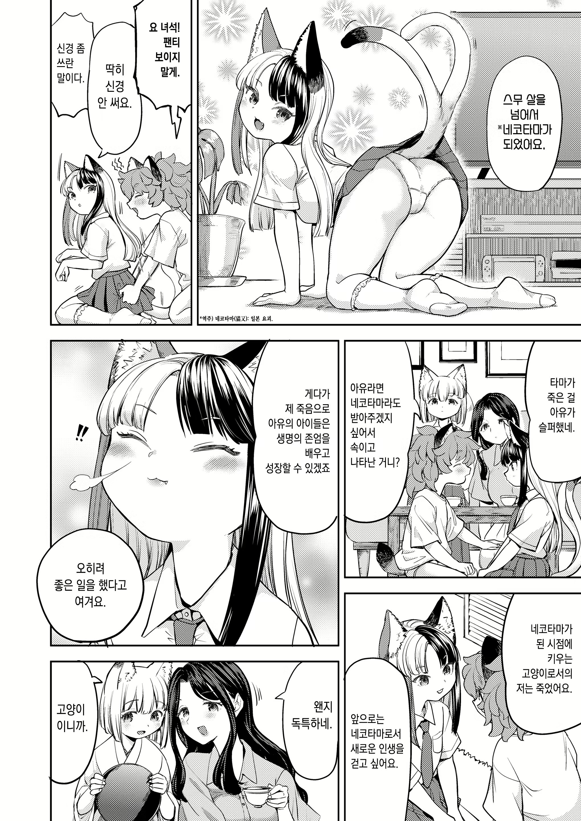 Content 2347039 - 2 페이지