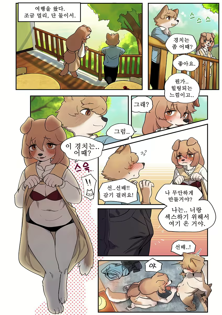 Content 2351143 - 17 페이지