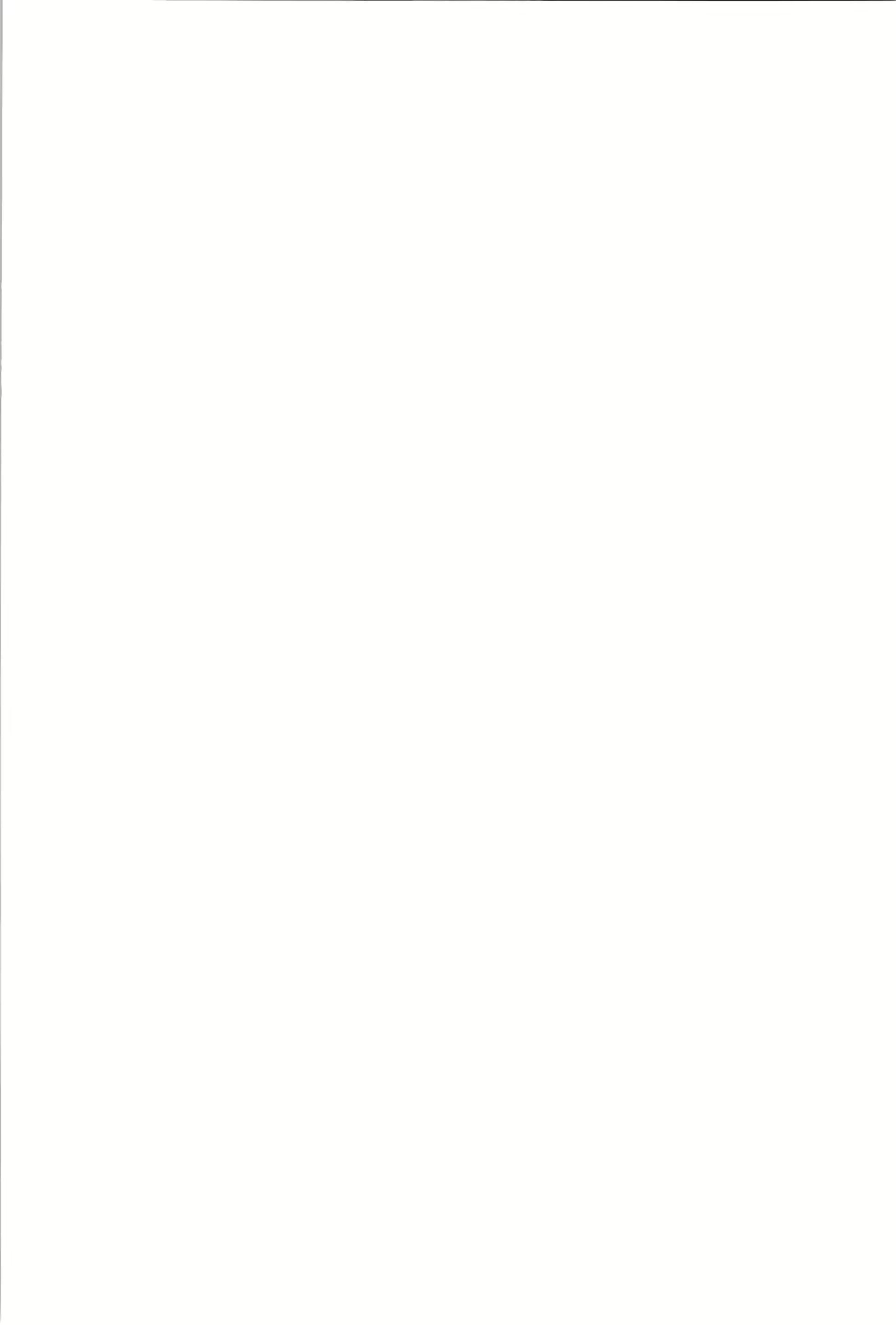 Content 2354224 - 2 페이지