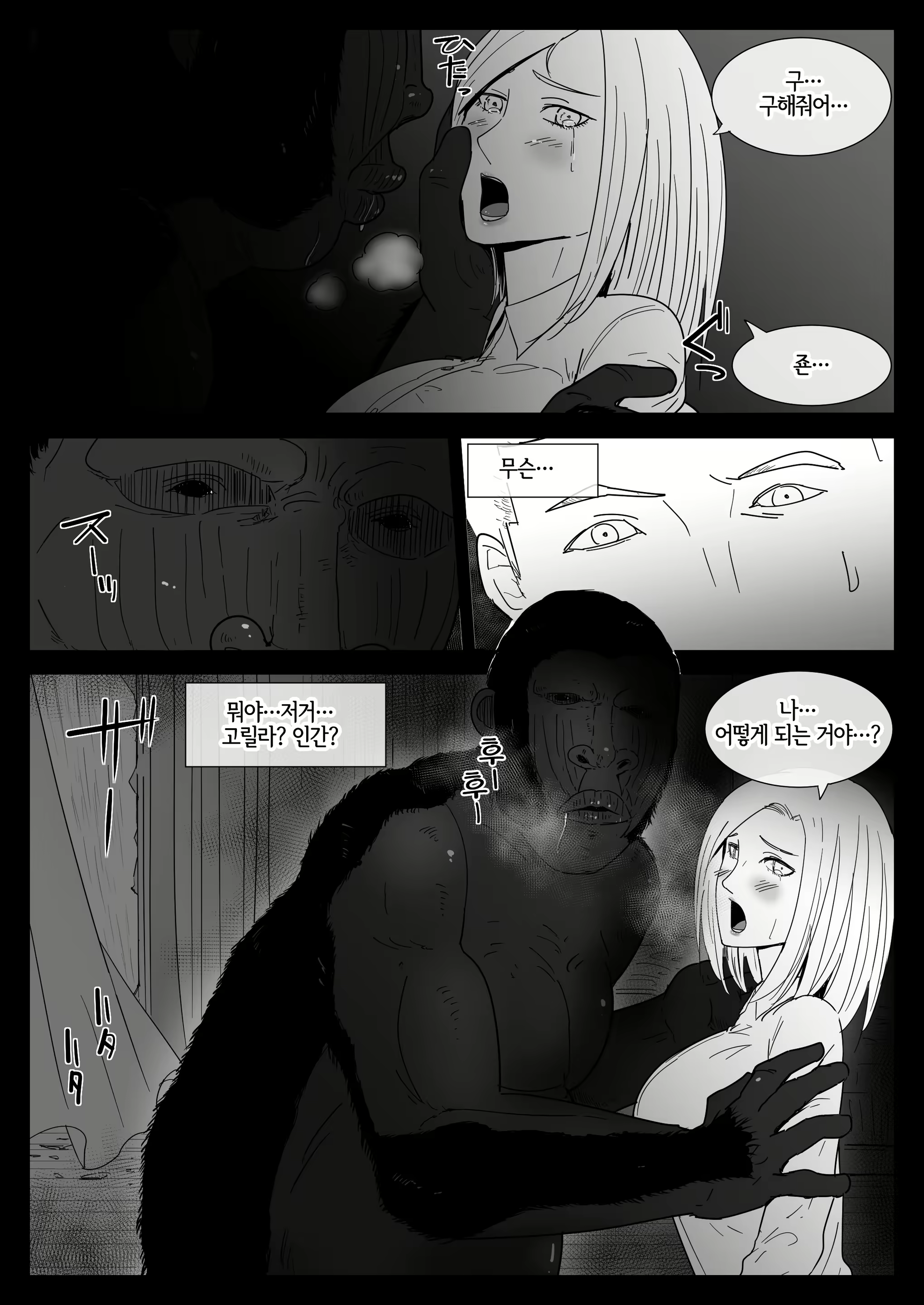 Content 2356027 - 13 페이지