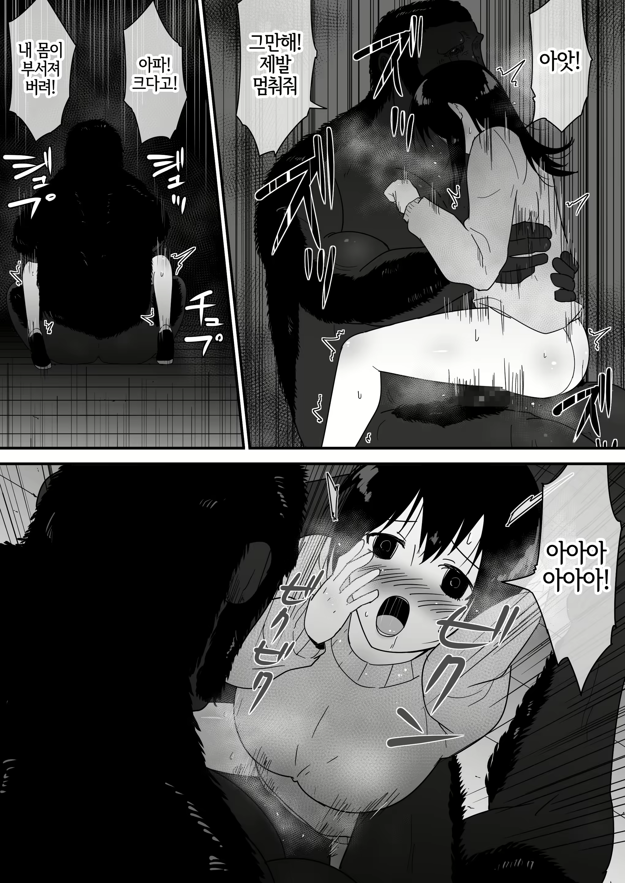 Content 2356027 - 36 페이지
