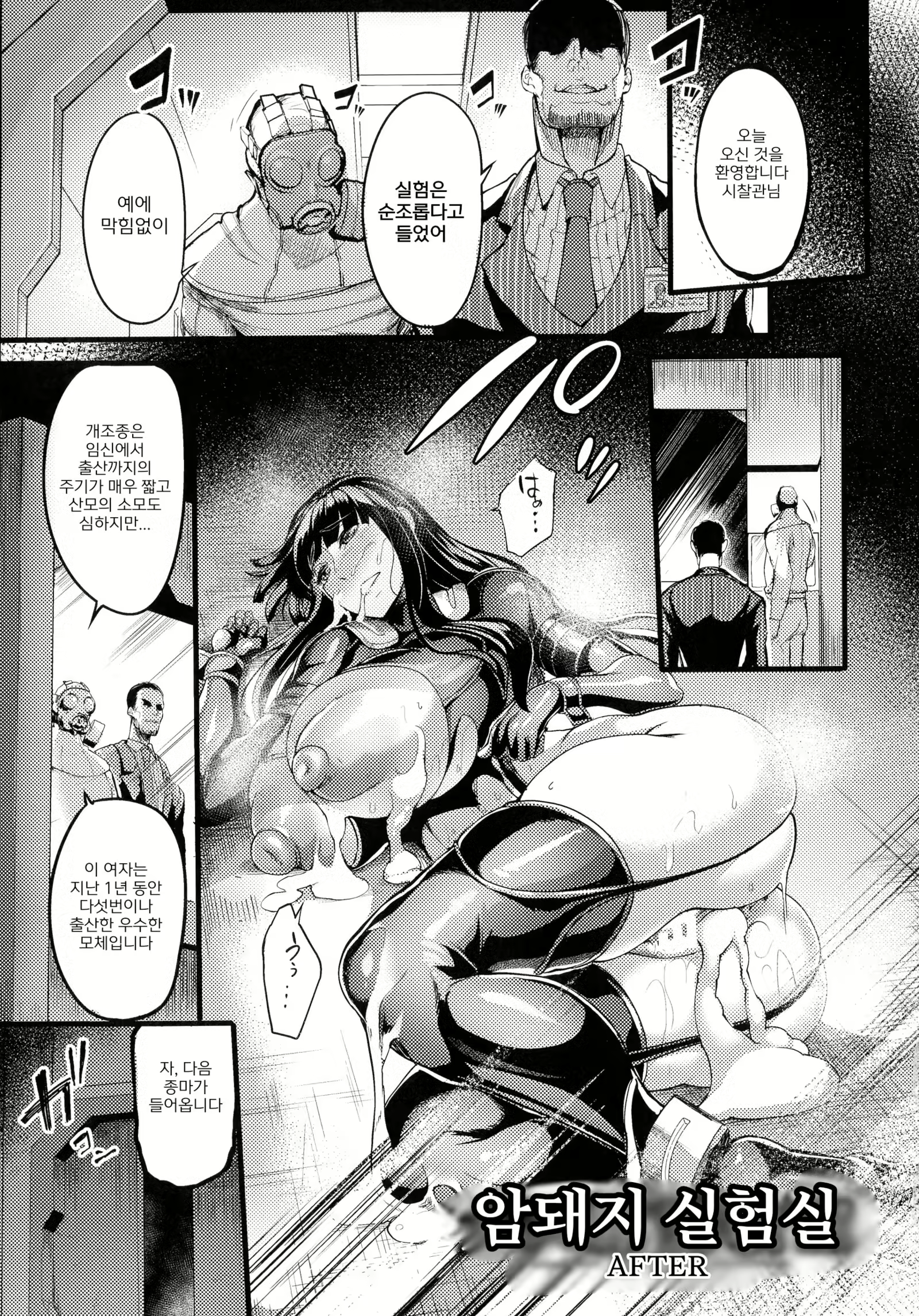 Content 2359646 - 2 페이지