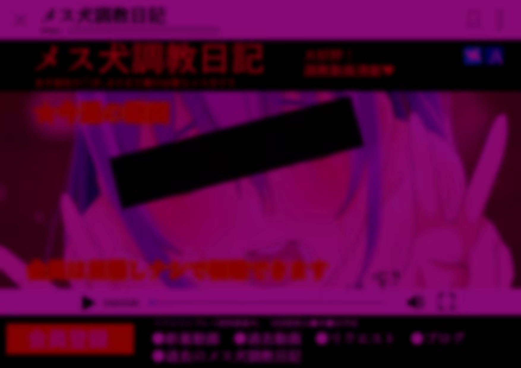 Content 2360274 - 256 페이지