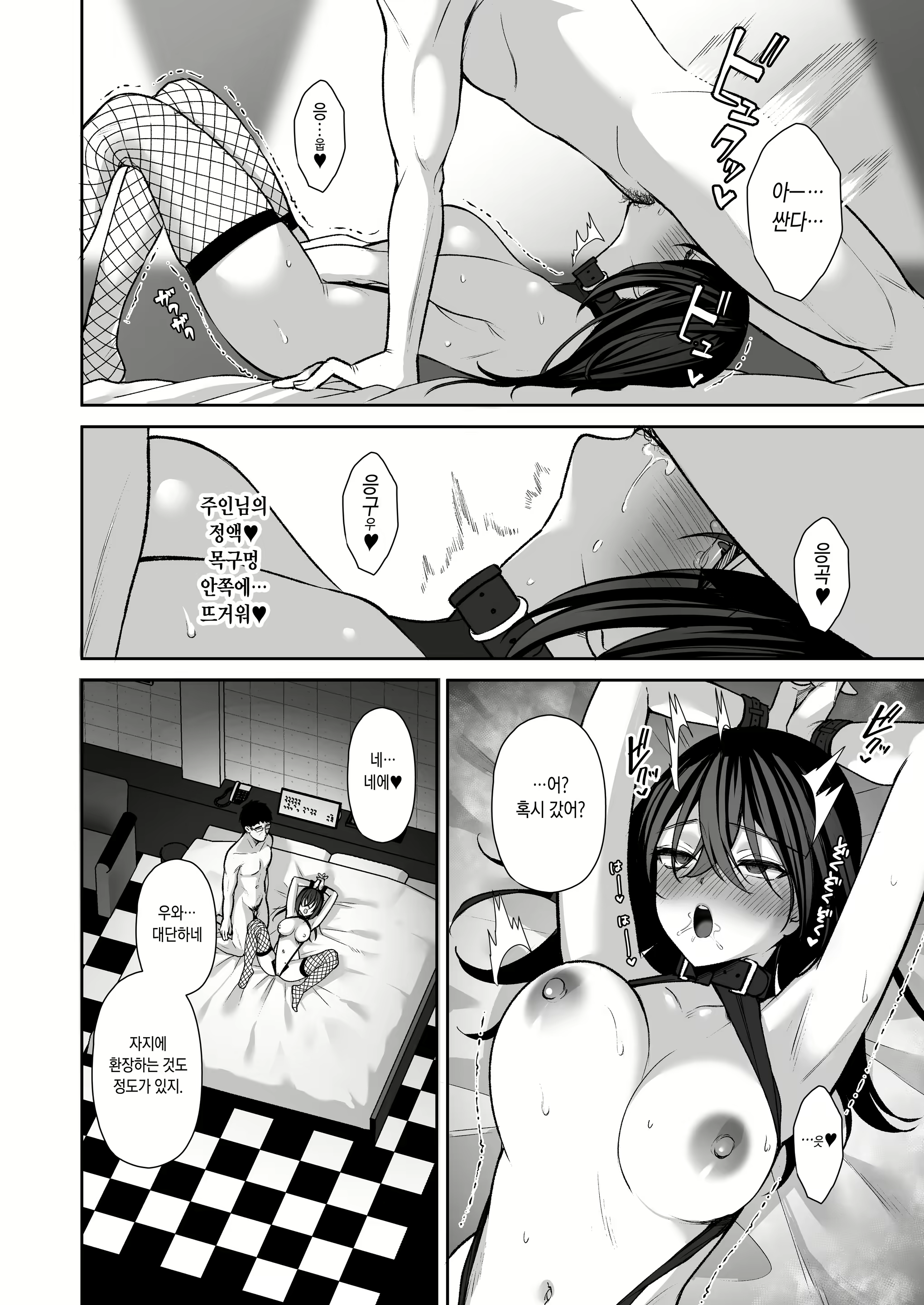 Content 2362435 - 31 페이지